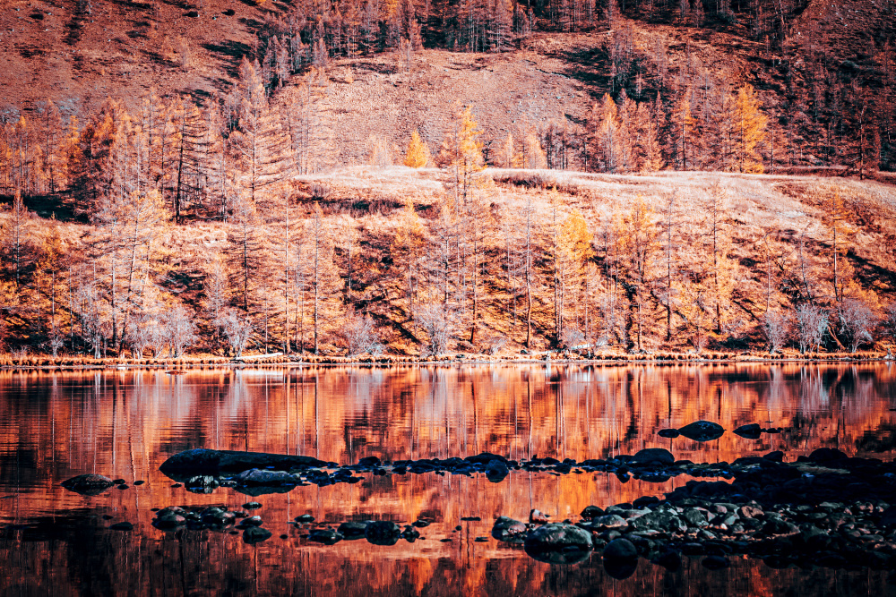 Из серии «Земля кочевников» осень озеро вечер вода камни пейзаж закат Тува 2020 восток Россия природа