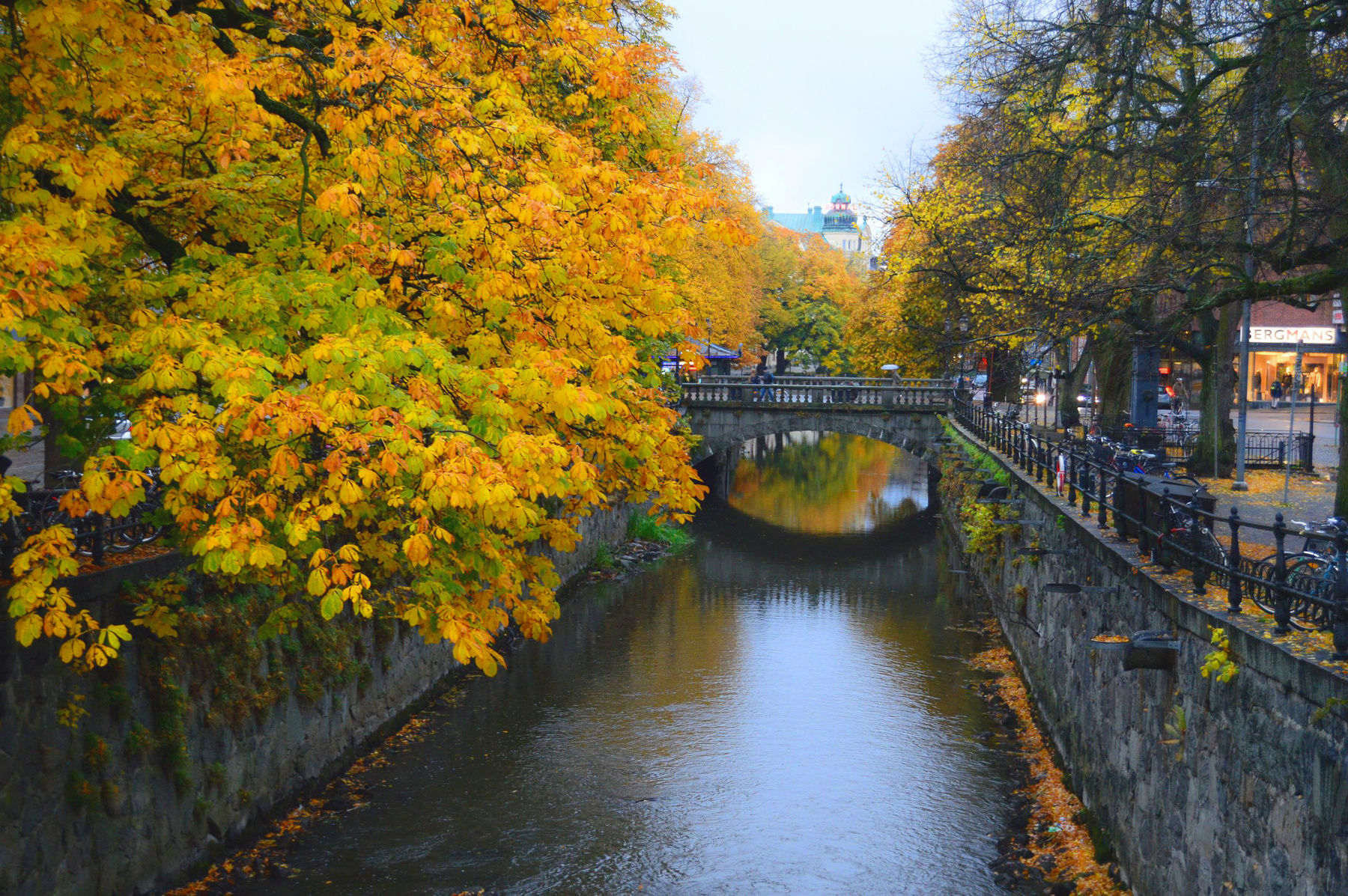 Осень в Уппсале осень канал Швеция