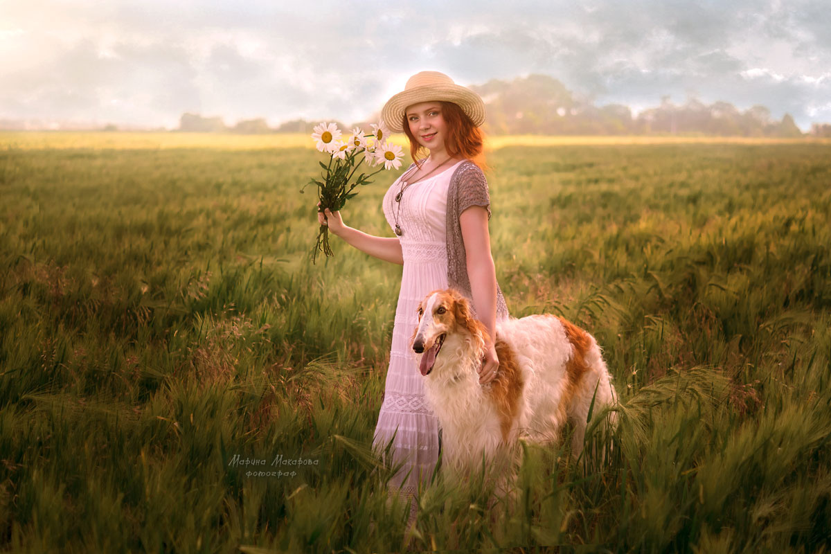 прогулка с борзой девушка борзая собака поле портрет