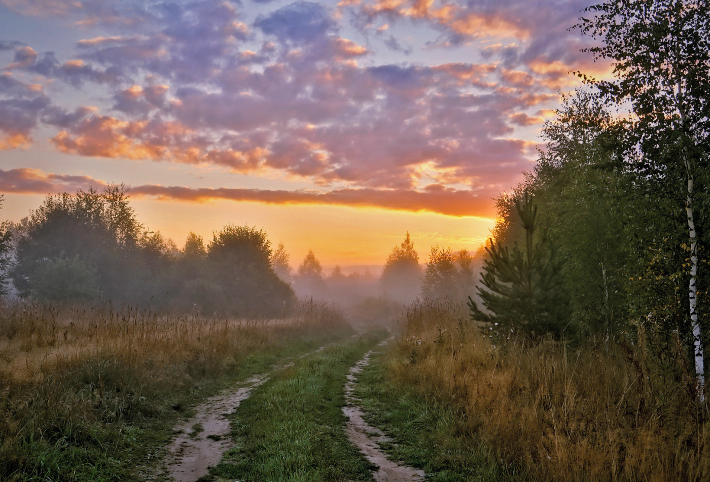 Рассвет утро дорога восход лес тверская область