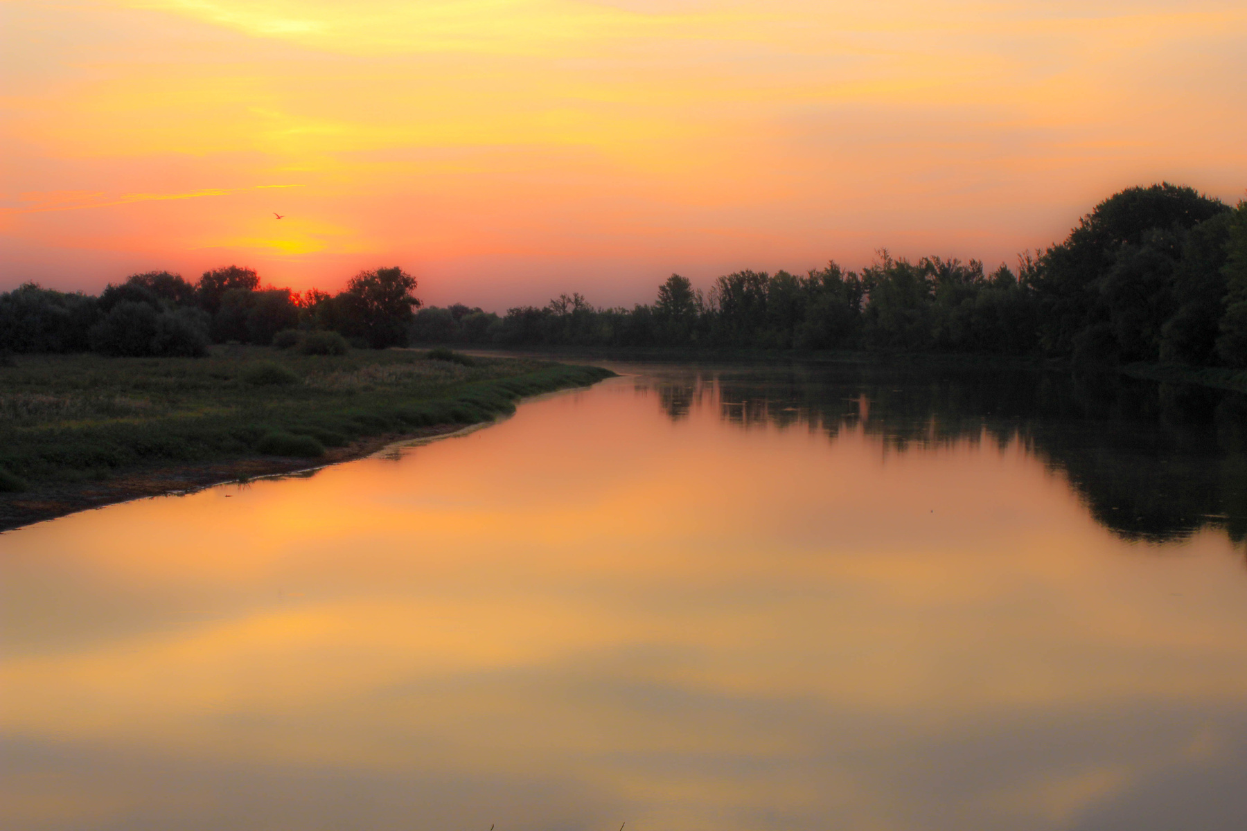 Рождение нового дня лето утро Саратовская область река рассвет природа пейзаж заря Большой Иргиз