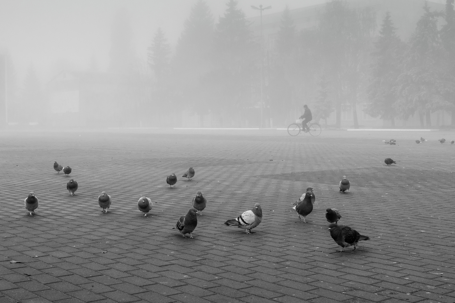 *** туман город уличная фотография