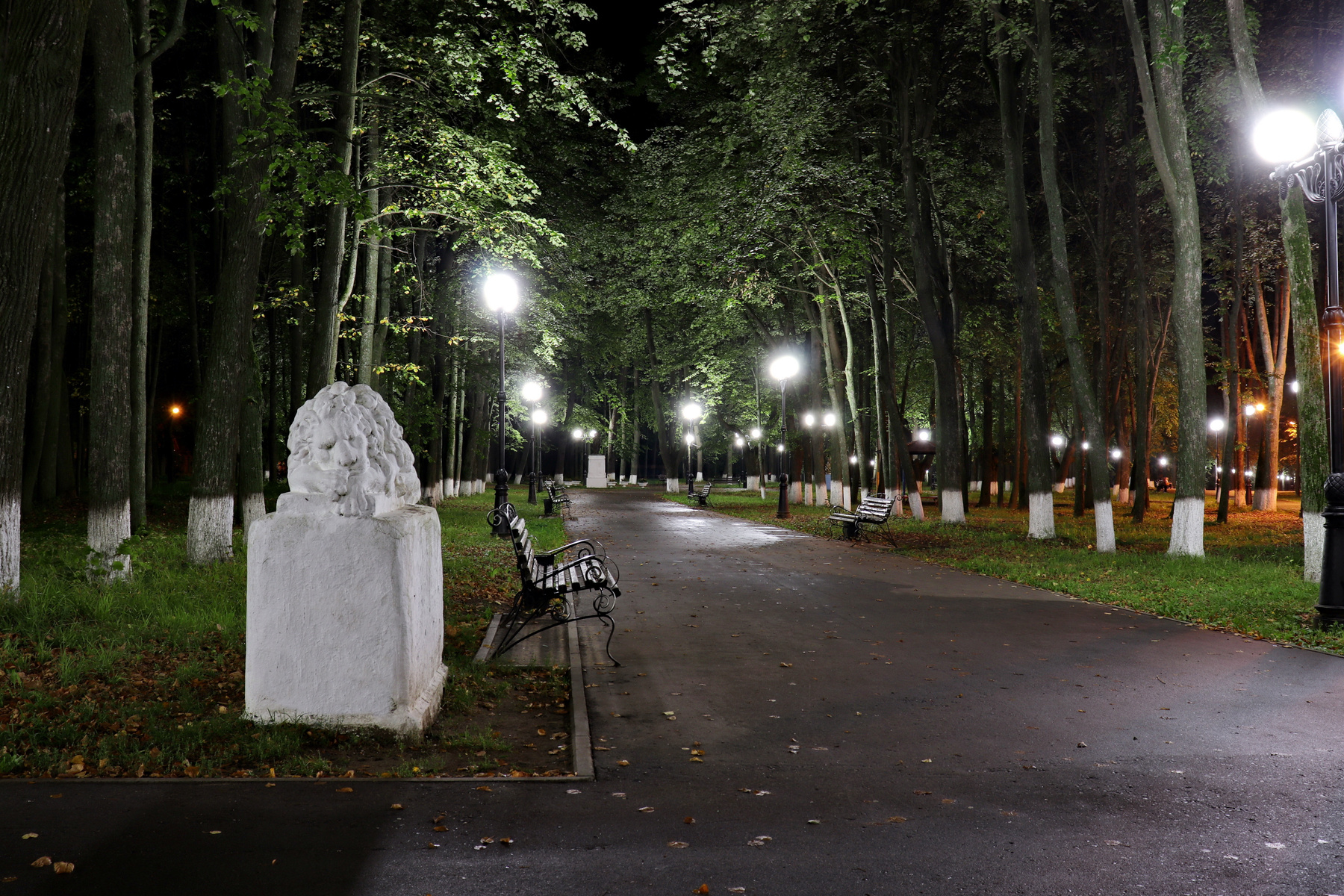 Ночной парк Шуя парк городской скульптура Ивановская область Россия каменный лев