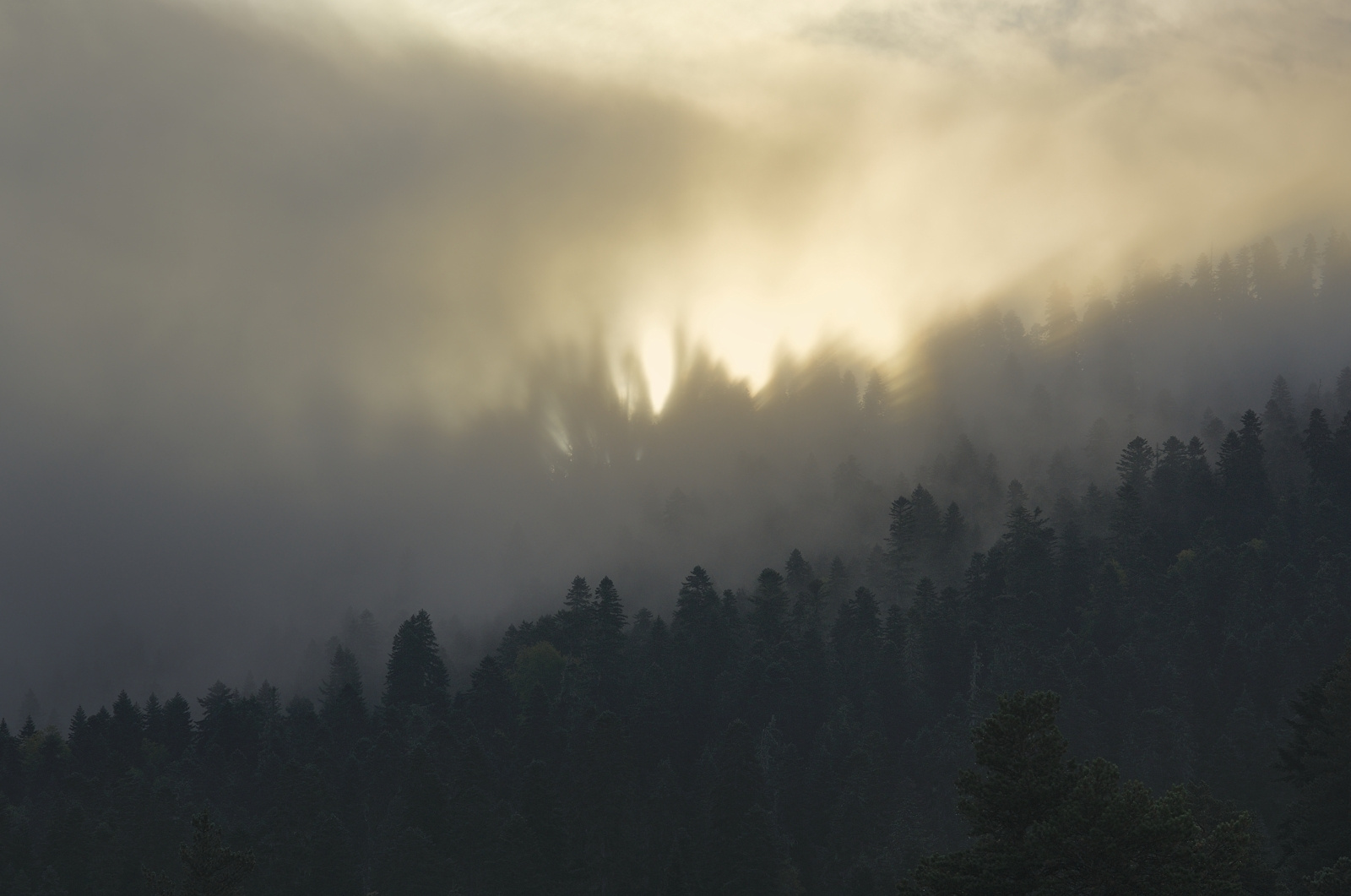 Туманный рассвет горы осень вершина утро тучи туман