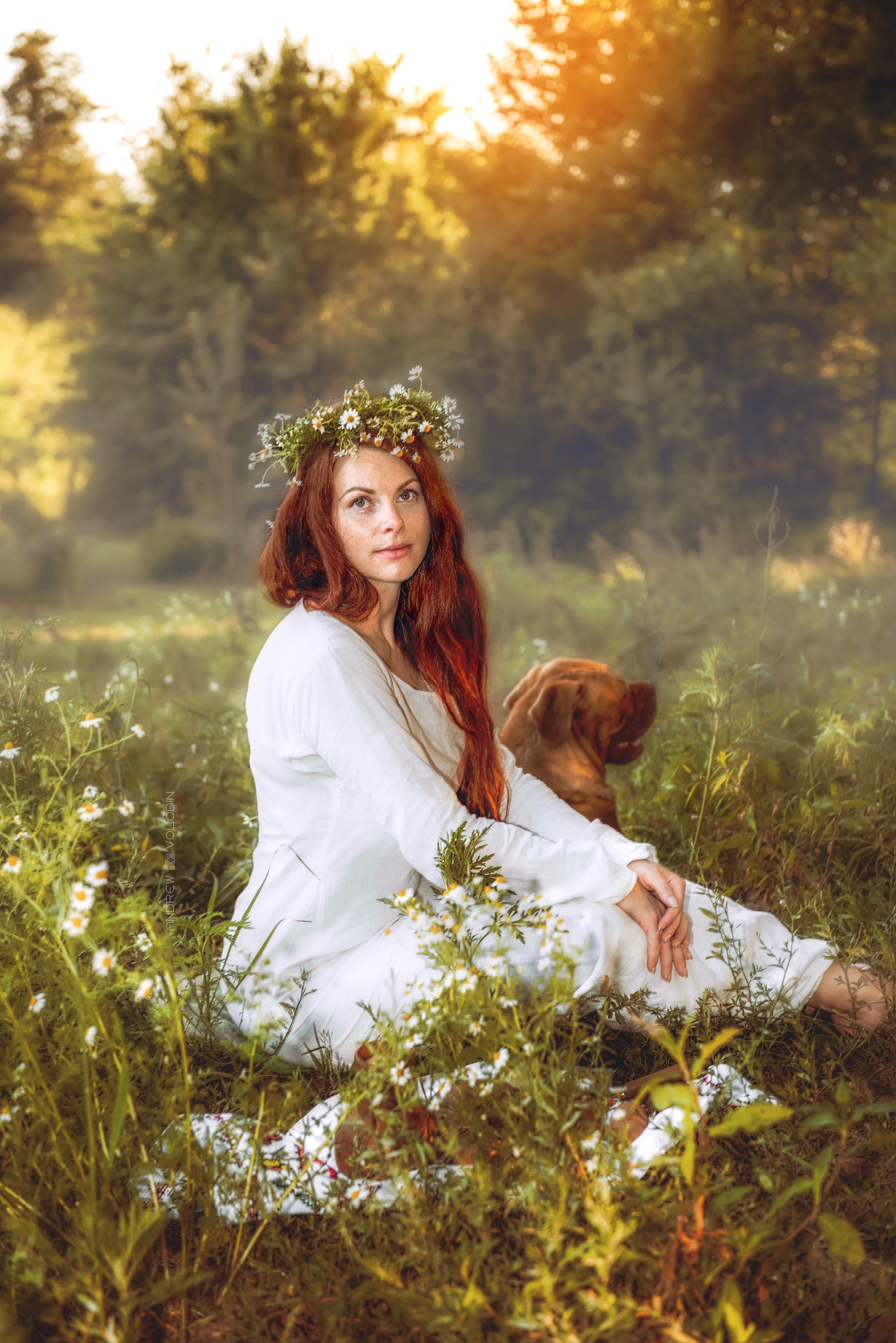 Отдых на ромашковом поле девушка славянка рыжеволосая ромашки собака