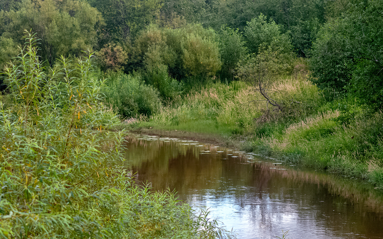 река Вочь река вочь павино лето природа пейзаж вид вода