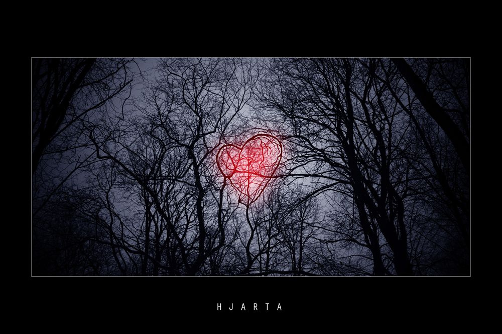 H j a r t a 