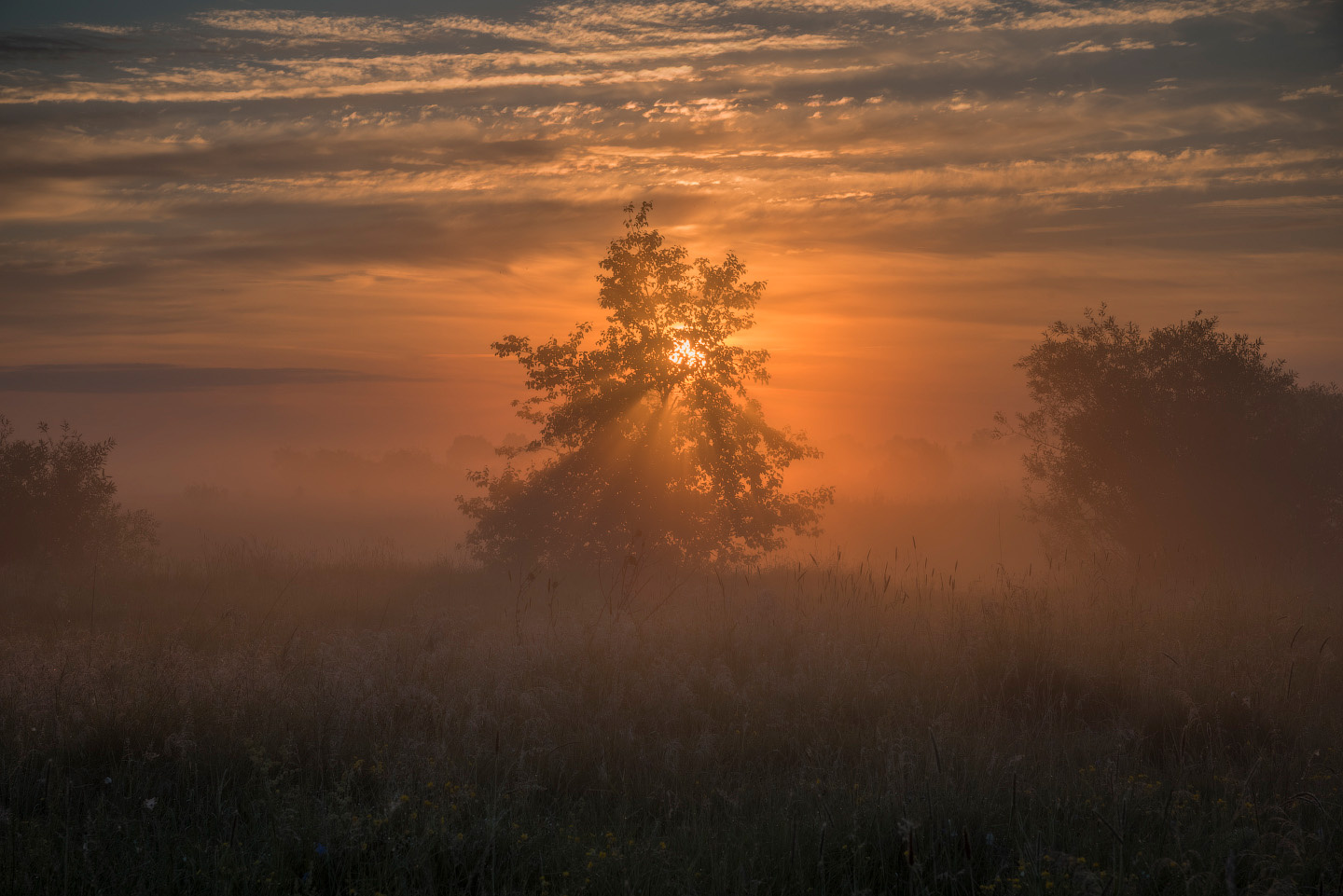 В рассветном тумане россия пейзаж природа никон рассвет
