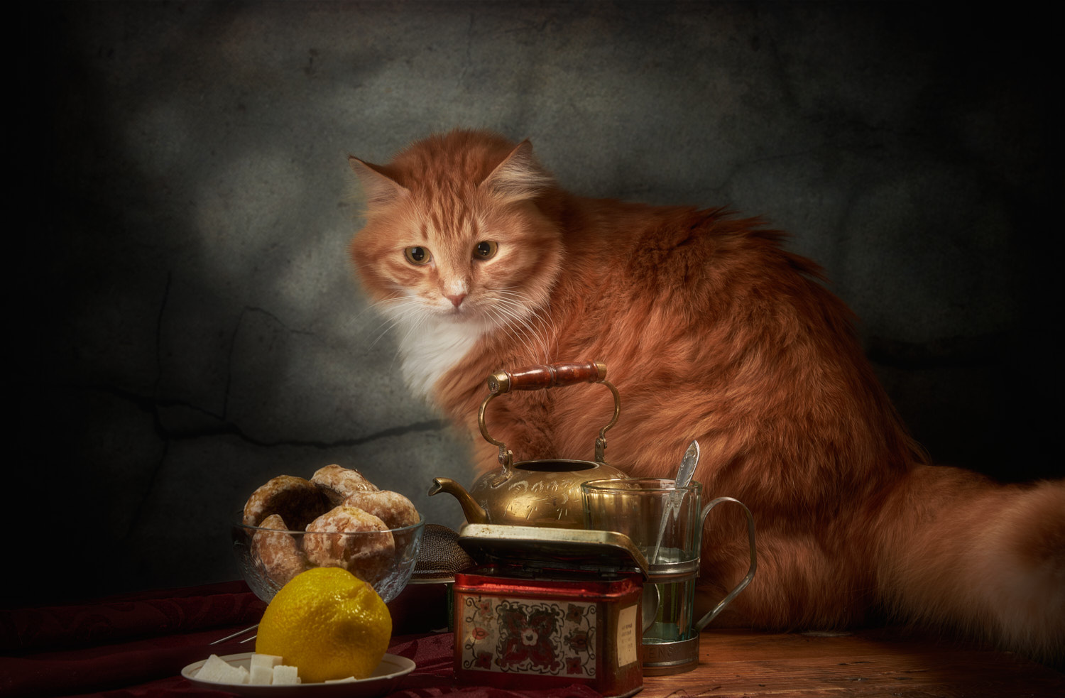 Подозрительный лимон. натюрморт композиция постановка сцена еда лимон кот питомец друг рыжий