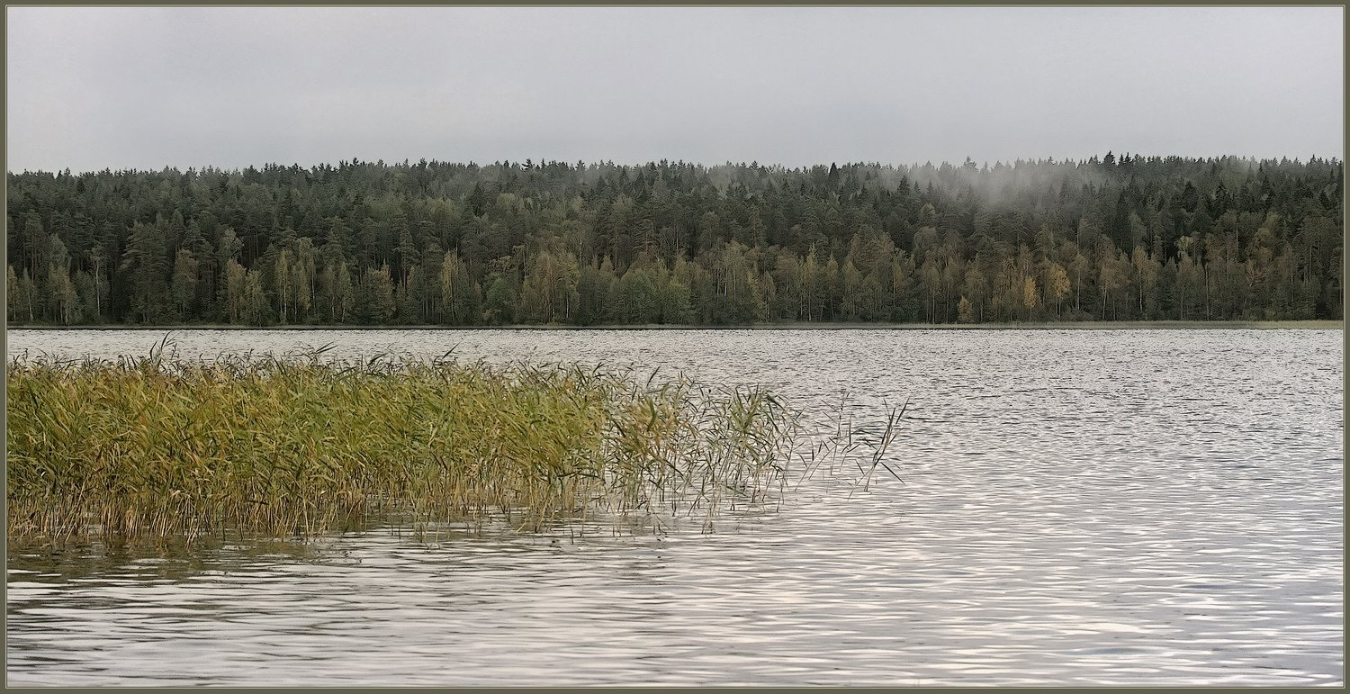 Озера тихие озера дальние. Петрово Дальнее озеро. Каукъярви озеро. Озеро Дальнее Ногинский район. Дальние берега.