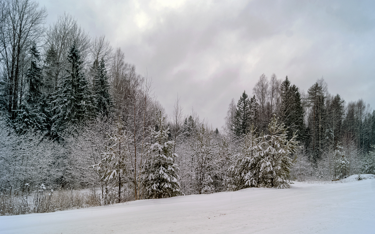 Начало зимы брантовка октябрьский природа пейзаж дорога ноябрь снег мантурово