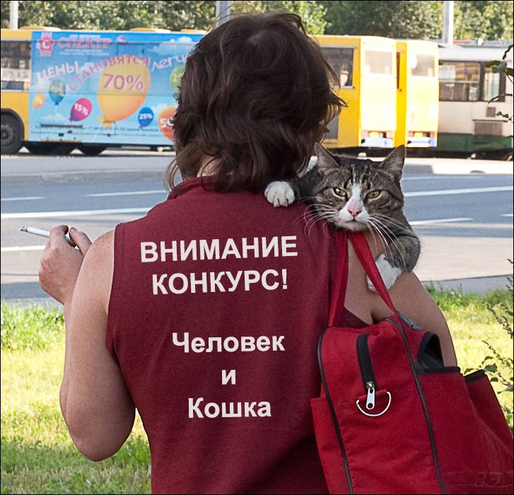 Стрит-портрет улица девушка с красной сумкой сигаретой и котом конкурс
