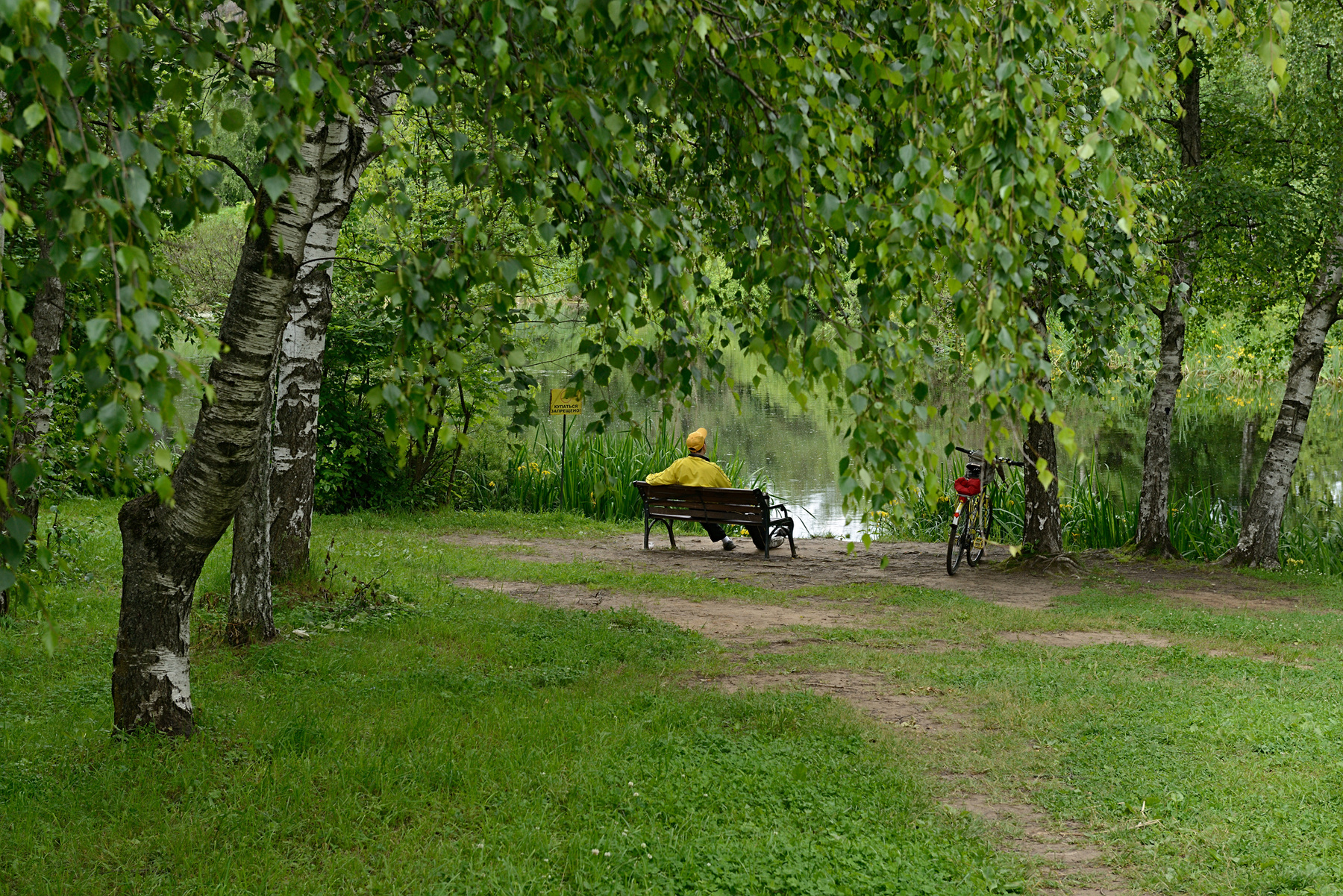 Приятная остановка Россия Москва ботанический сад лето репортаж