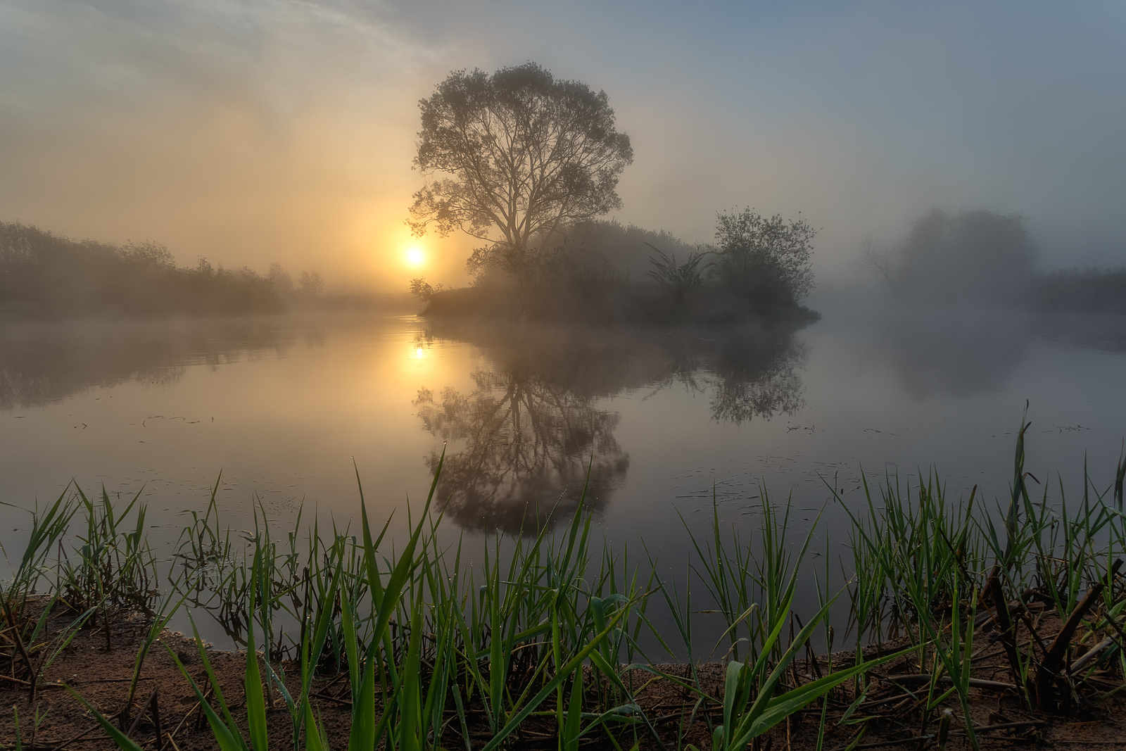 Магия утра создаёт иллюзию. вырица россия пейзаж природа восход солнце река туман