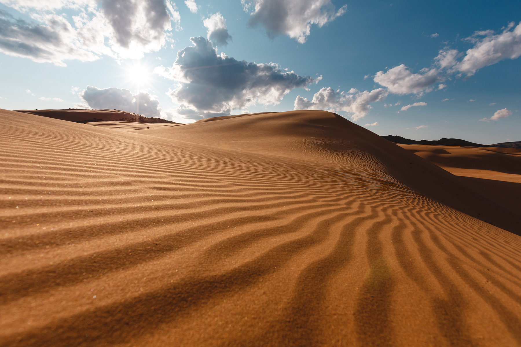 Пески Монголии природа закат пустыня пейзаж монголия