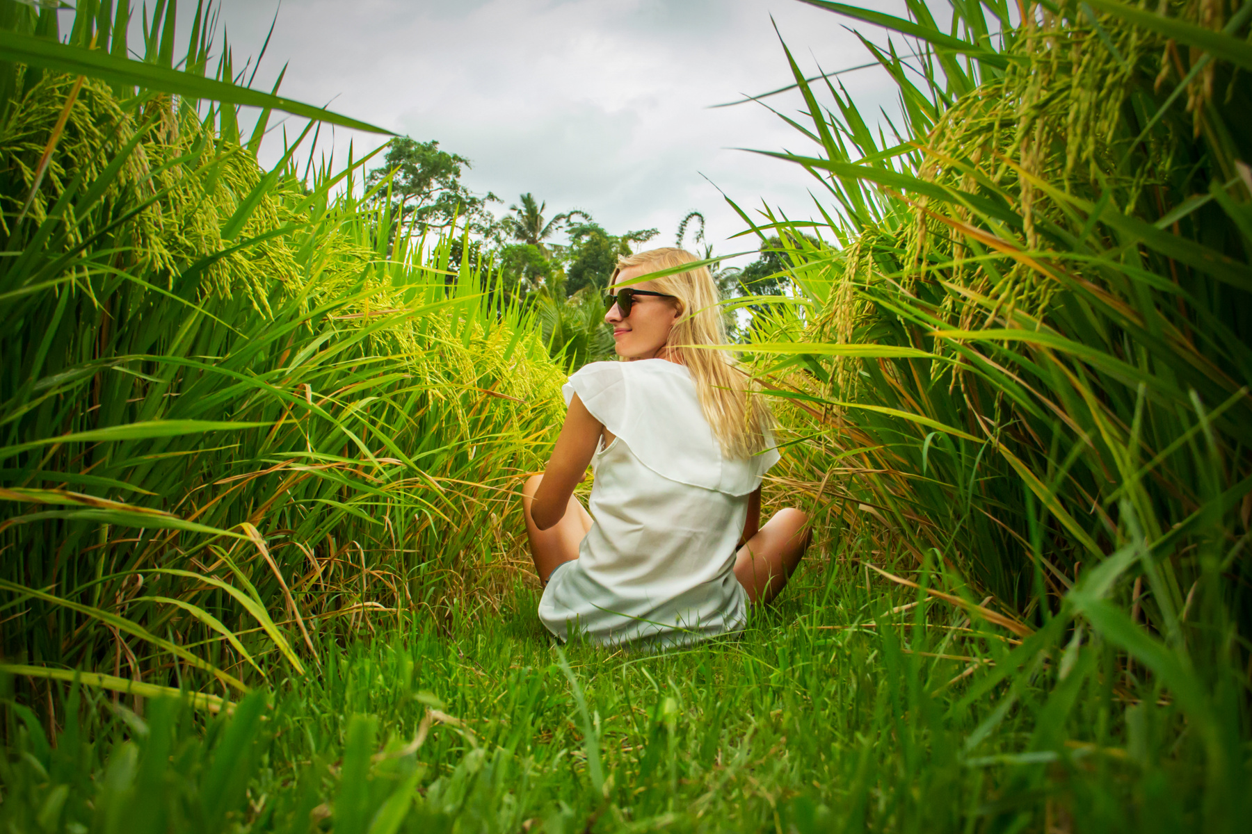 В рисовом поле рисовое поле девушка путешествие по бали