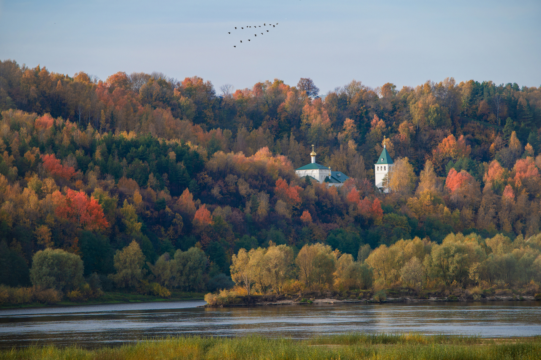 *** природа осень Дудин монастырь журавли октябрь