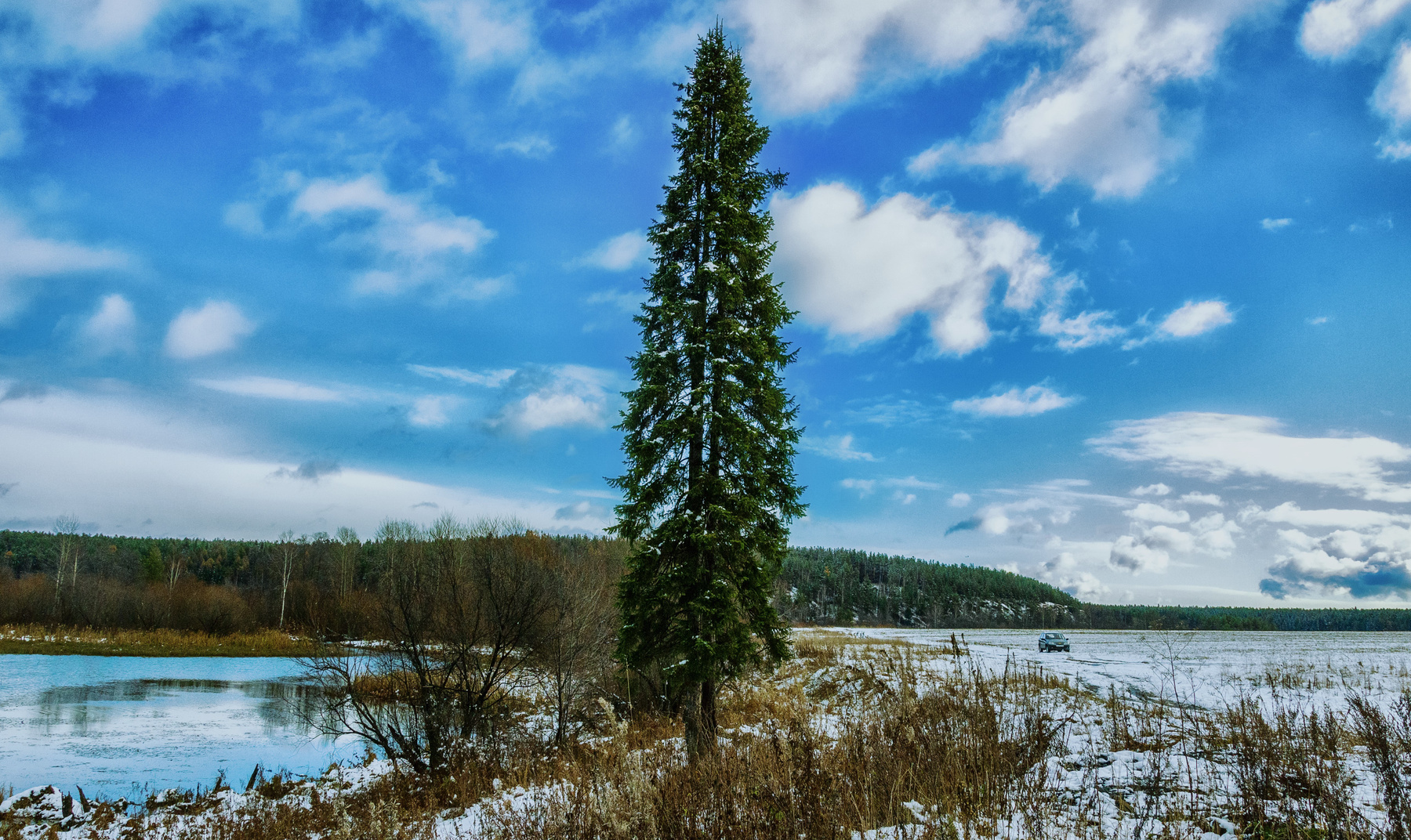 дерево россия урал осень зима природа пейзаж снег река лес деревья перспектива поле