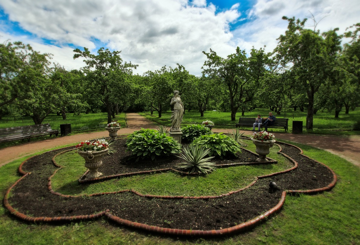 Полуденный сад коломенское москва сад
