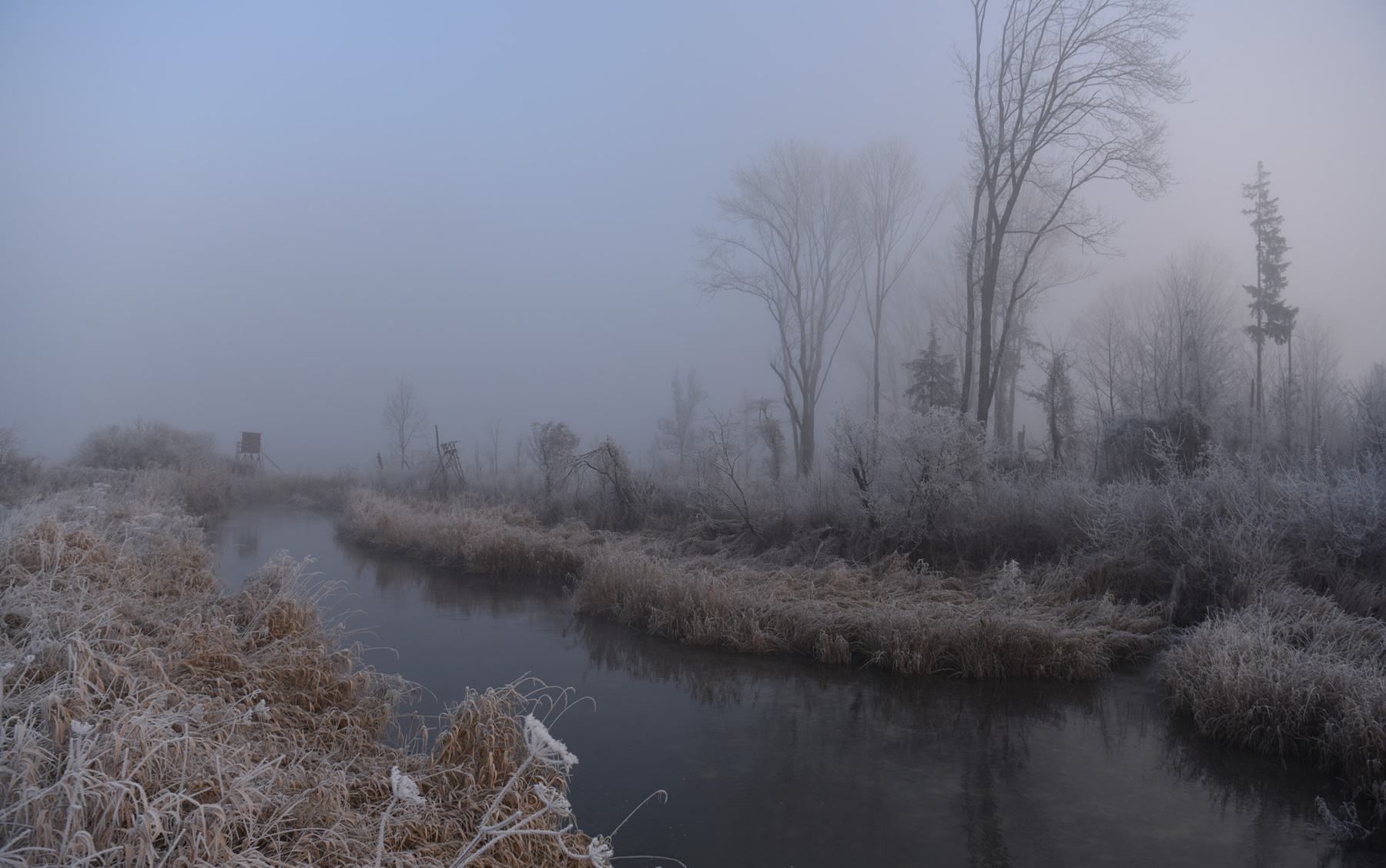 Туманным утром вдоль ручья утро туман ручей