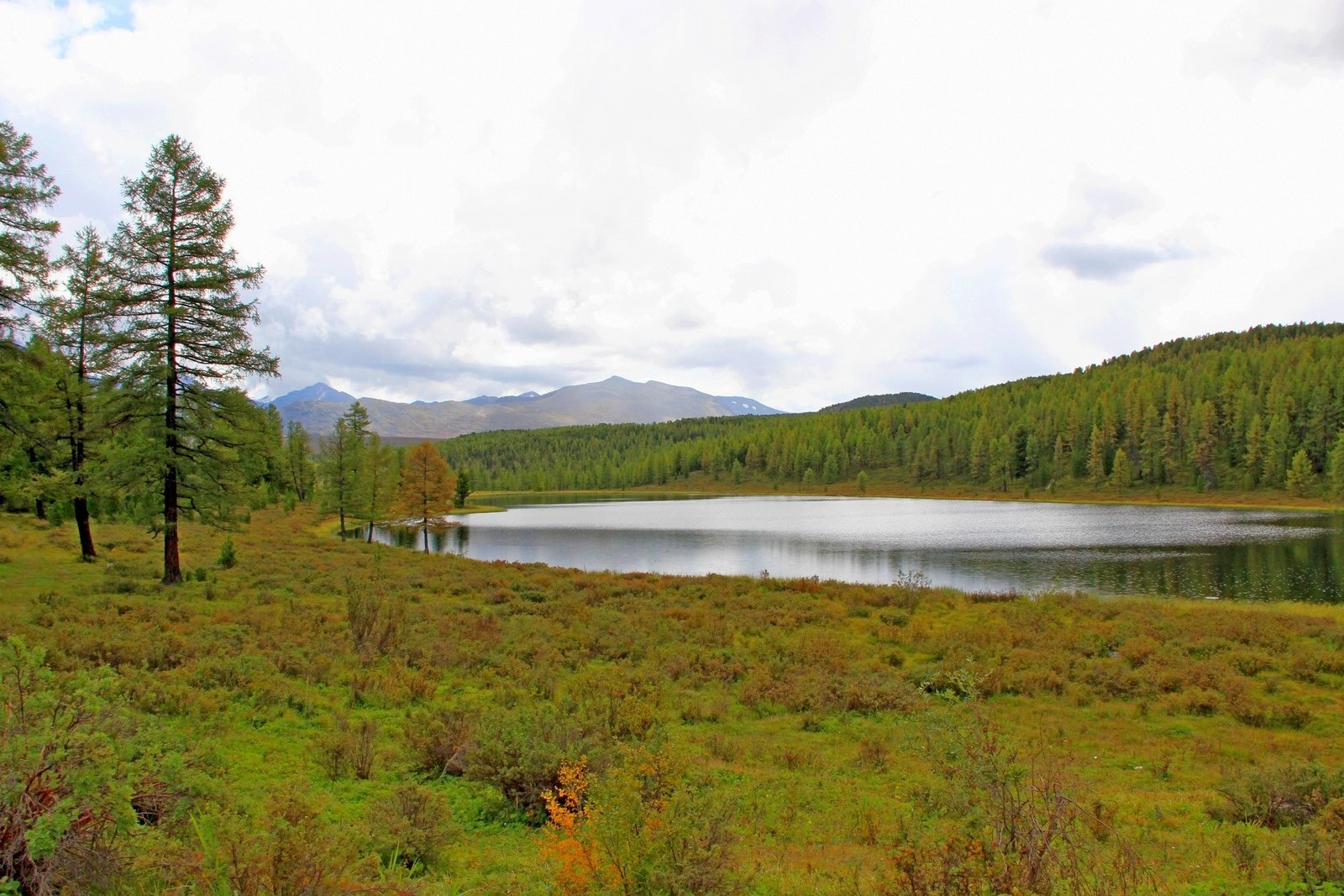 Озеро Киделю алтай озеро киделю улаганский перевал
