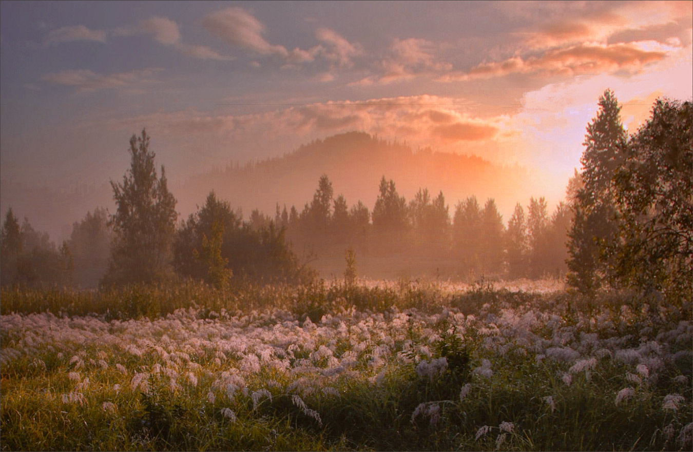 Озарённые светом Пейзаж лето Сибирь красивые места России