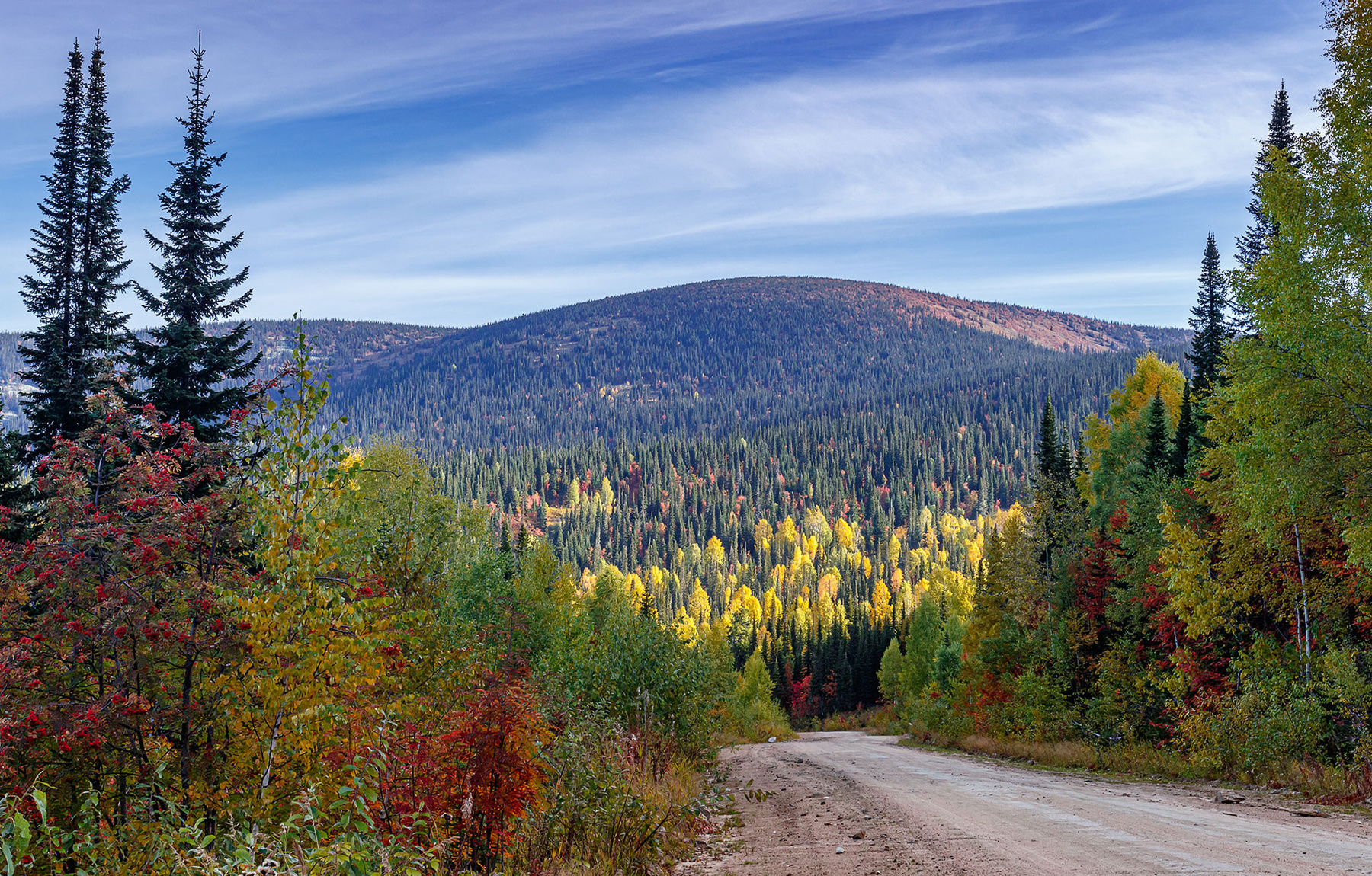 Вид с перевала. Горная шория деревья дорога камни осень пейзаж природа жёлтое зелень тайга горы