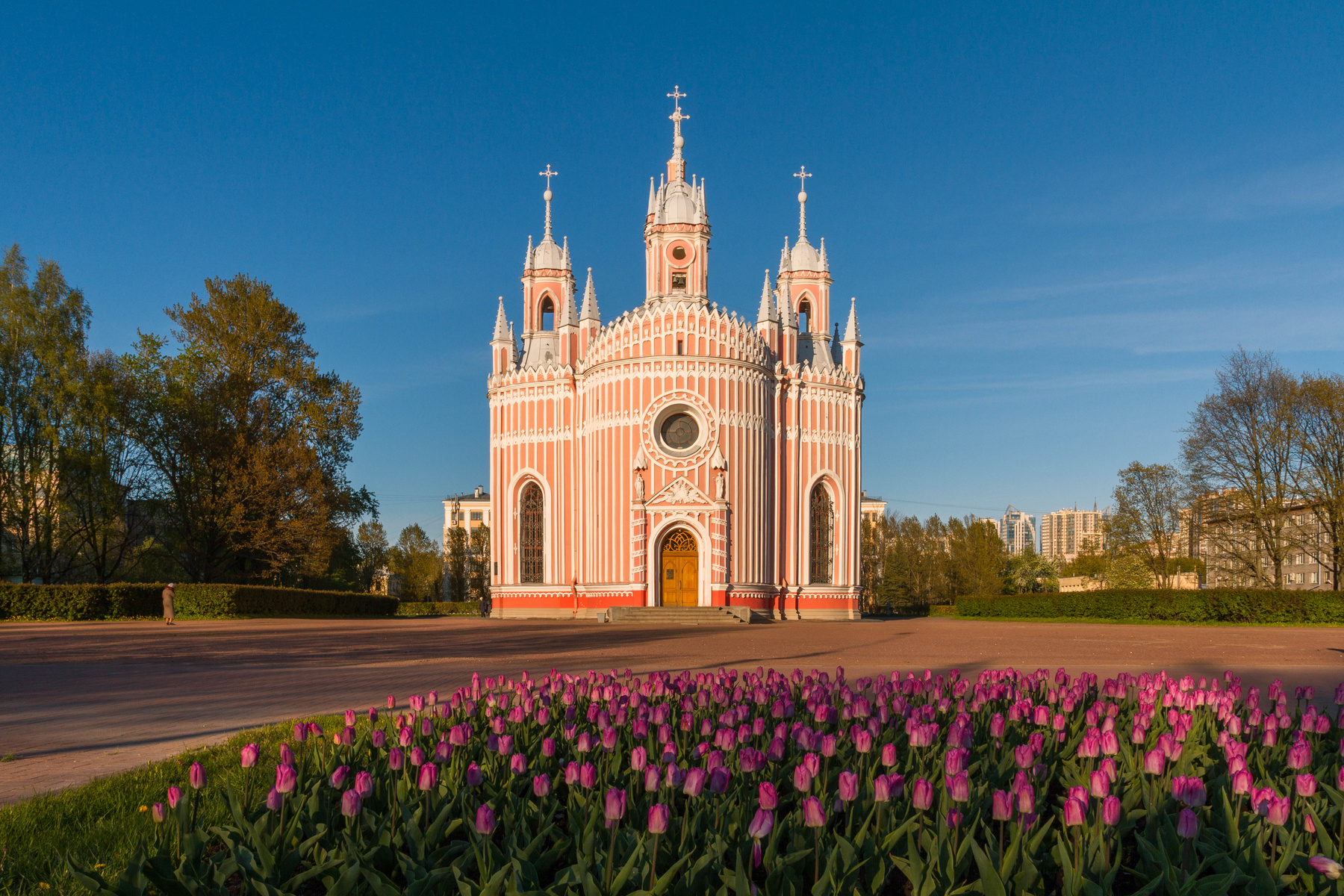 Чесменская церковь и весенние тюльпаны. 