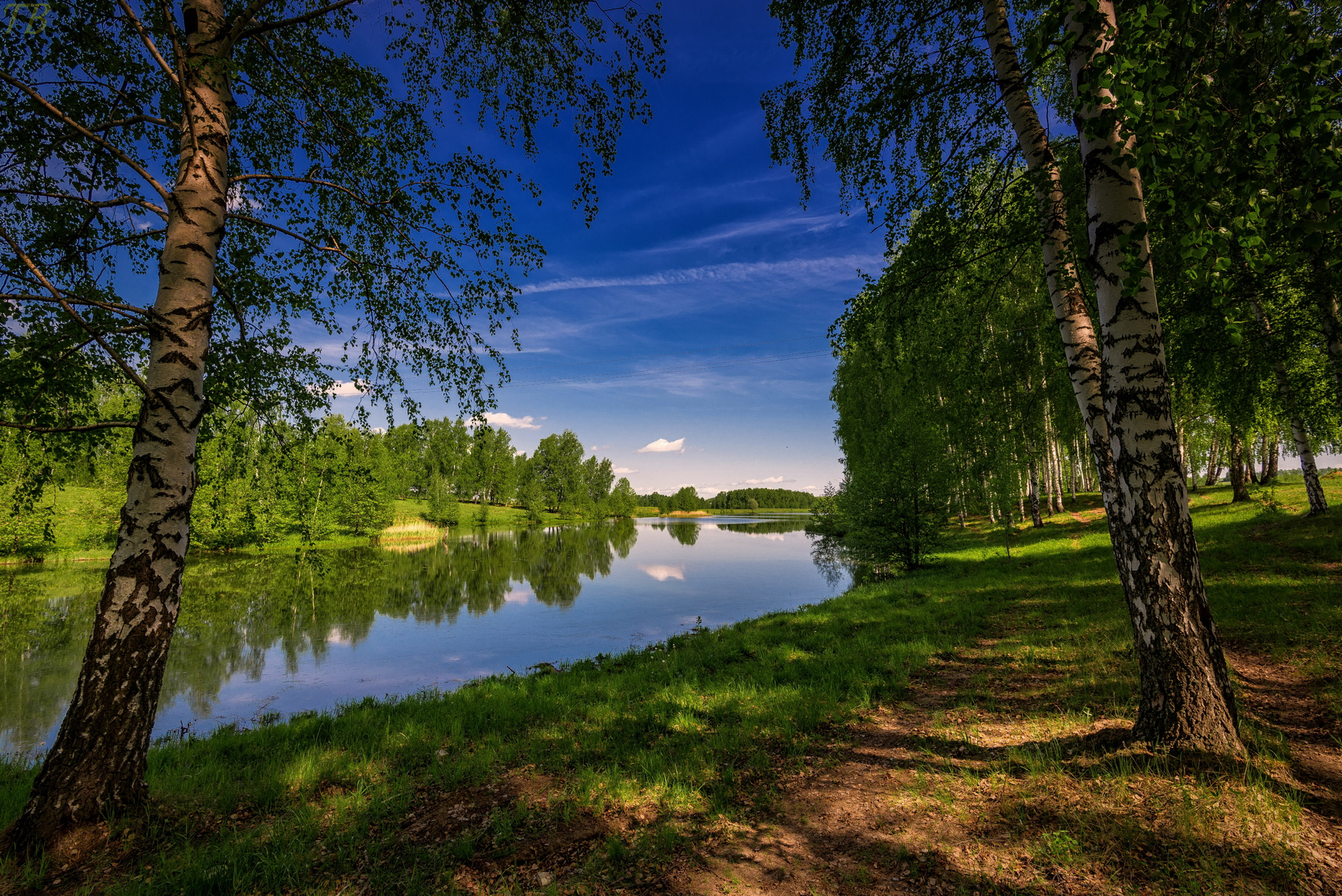 Русское про природу. Русская природа. Русская природа лето. Русская природа летом. Визуализация русская природа.