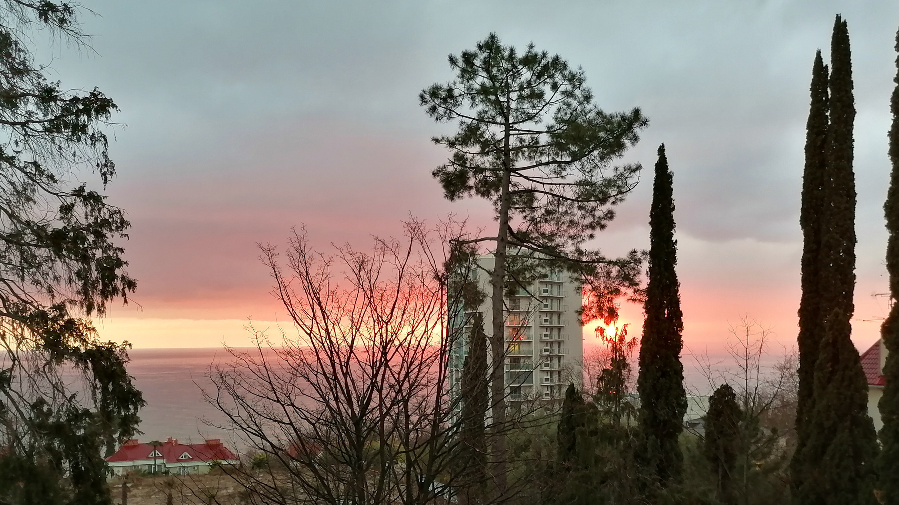 Закат на Чёрном море закат пейзаж море Сочи кипарисы зима январь 2020