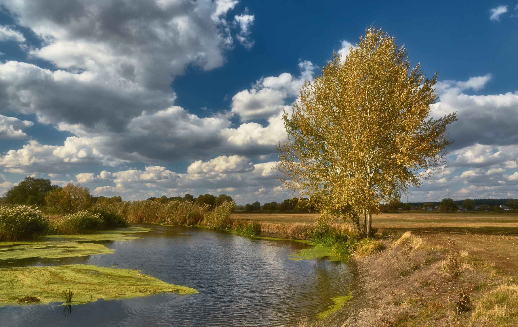 Октябрьский пейзаж пейзаж природа река осень небо облака деревья берега