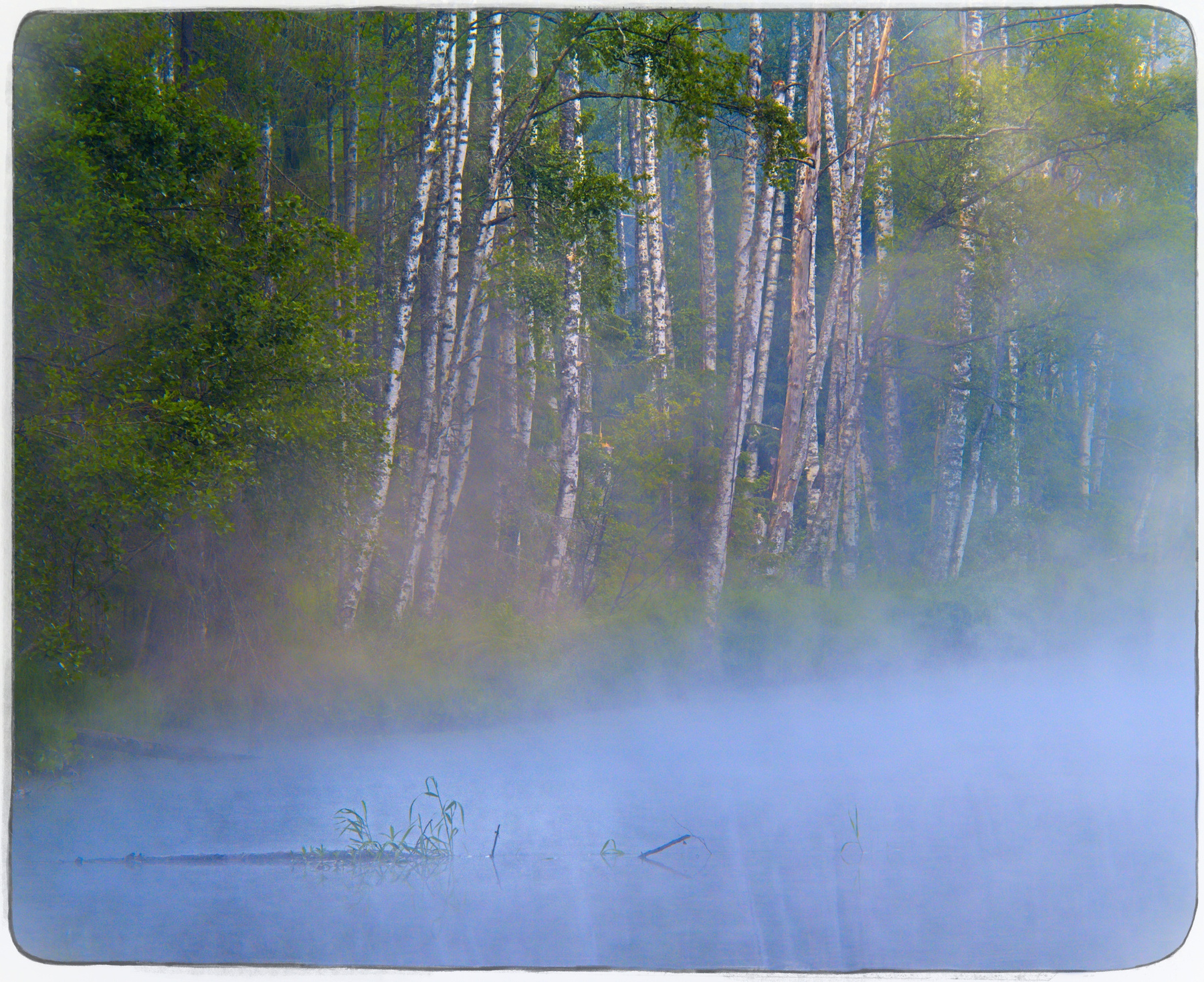 Волчья река утром летнего солнцестояния. (3) летнее солнцестояние река Купала