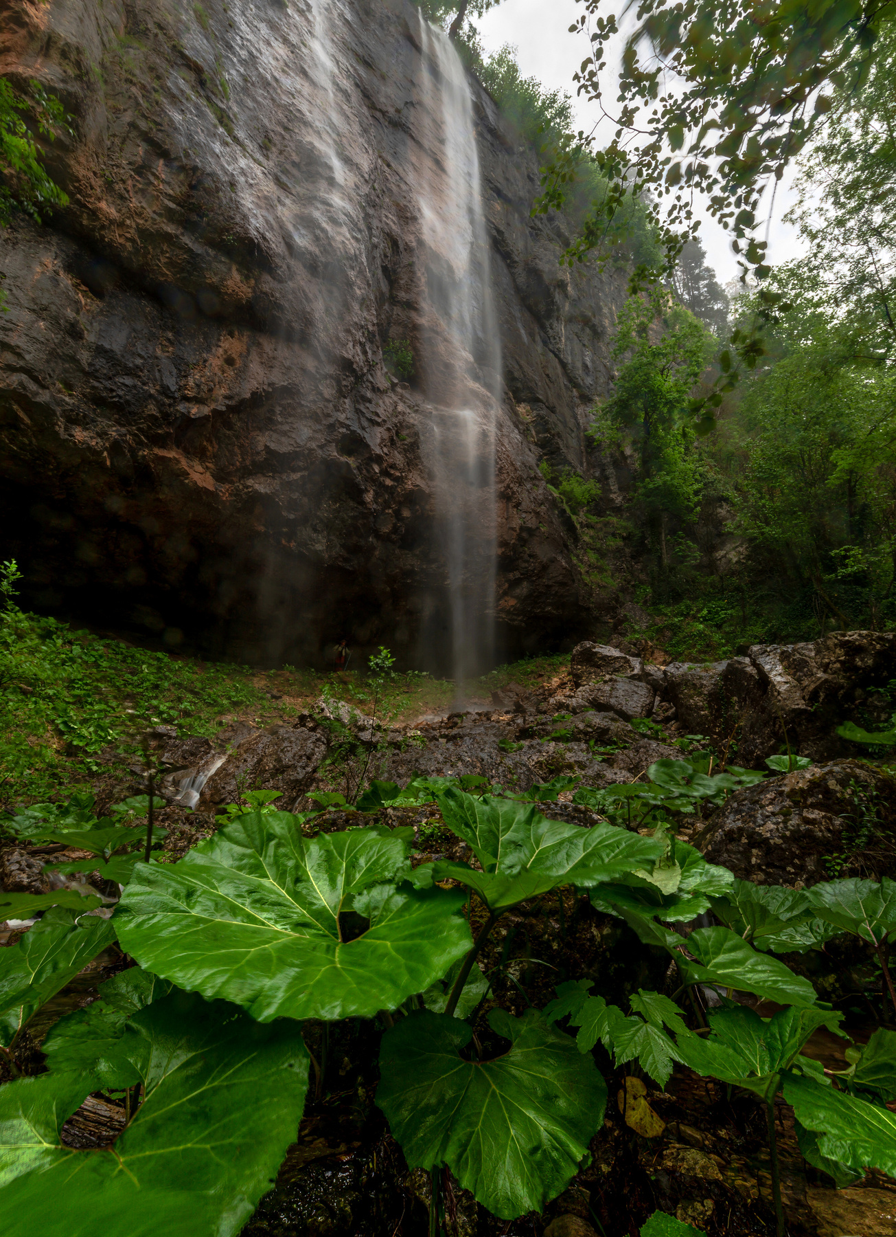Водопад Пальмовый Водопад горы лес Каньон Курджипс Мезмай