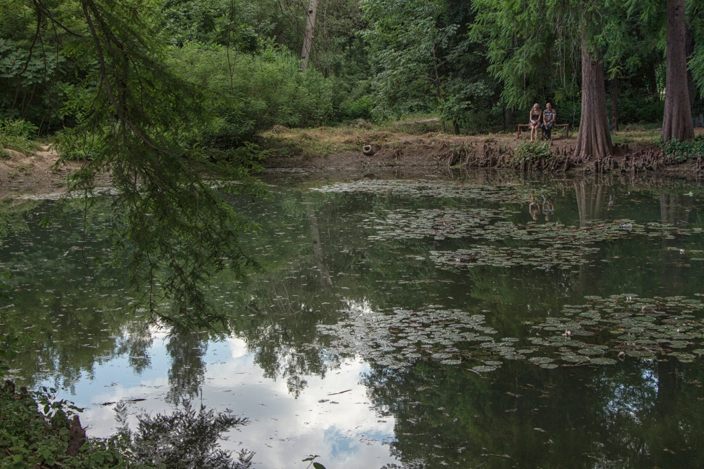 Одиночество вдвоем озеро пара природа сад пруд