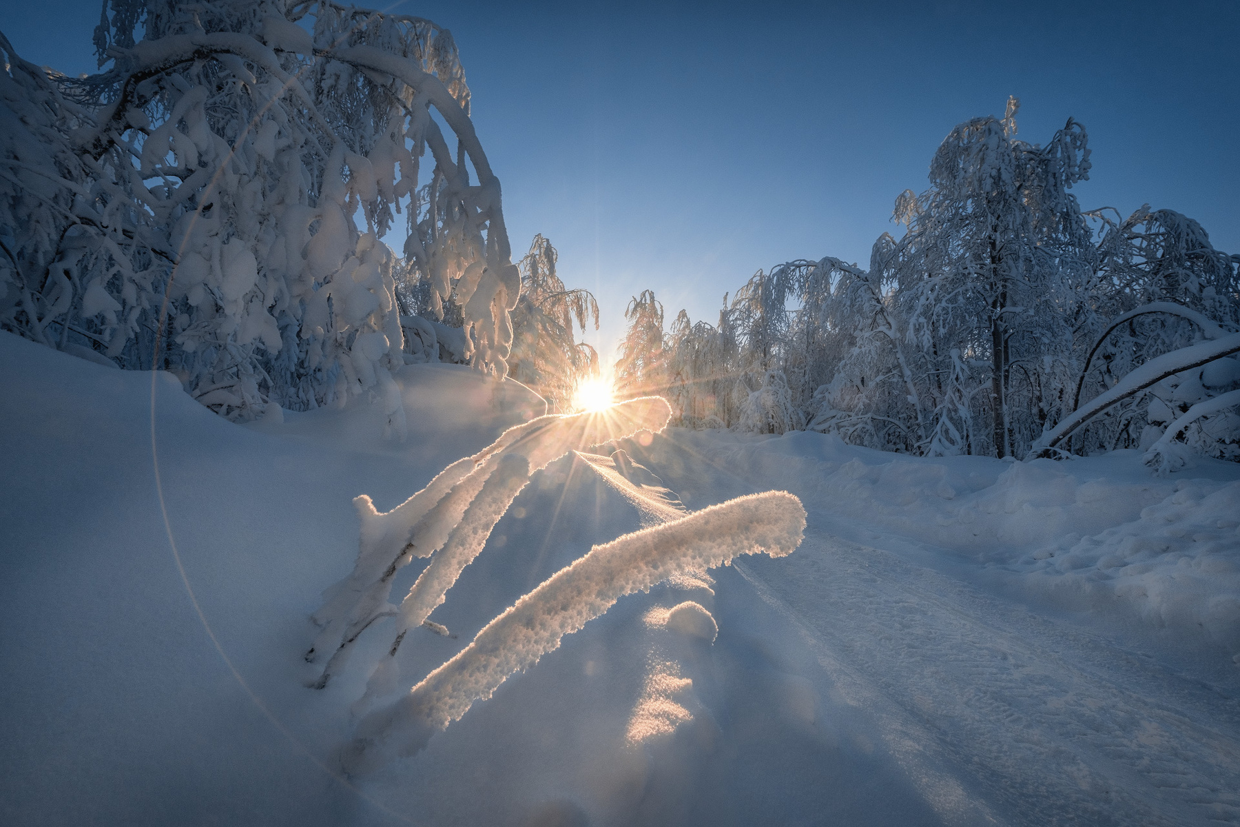 Морозная игра света зима мороз солнце свет деревья лес утро дорога рождество губаха пермь