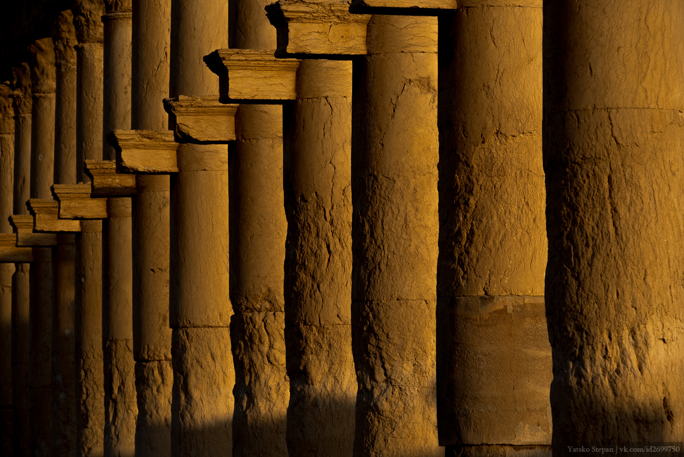 Пальмира пальмира сирия колонны памятник архитектура