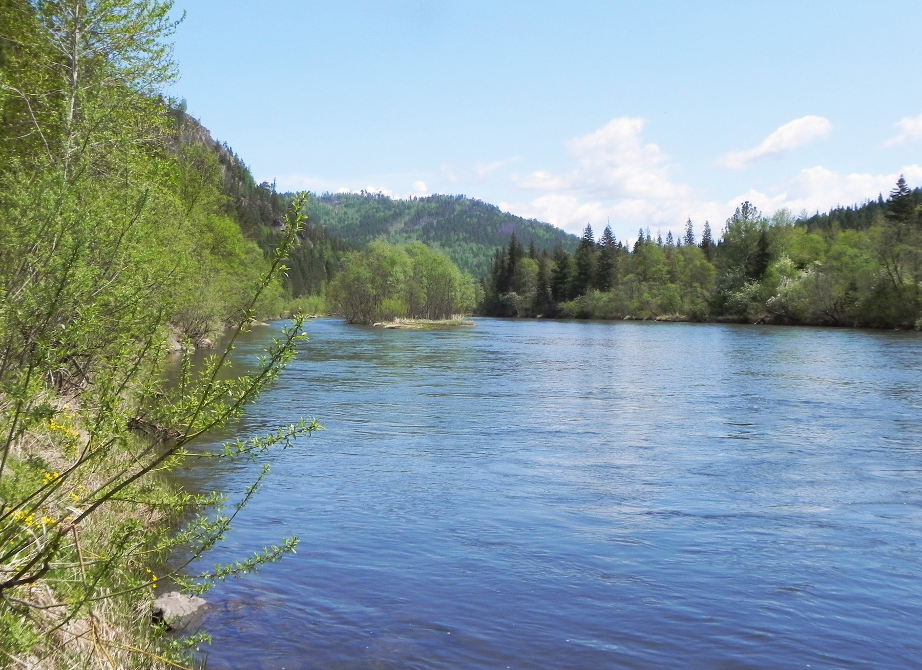Река Мана Сибирь лето вода река