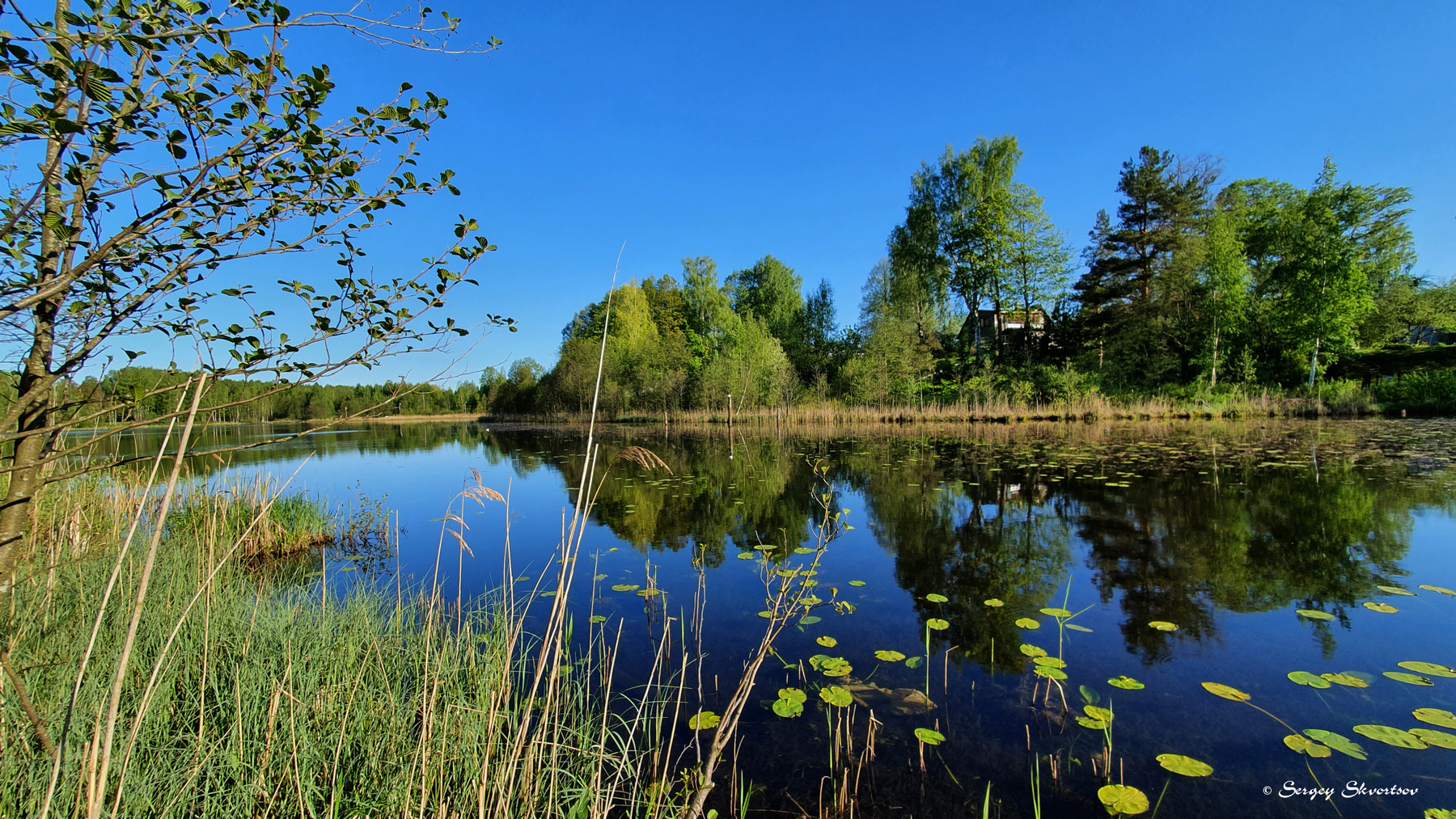 Тишина на Финском  озере СПб Парголово Финское озеро