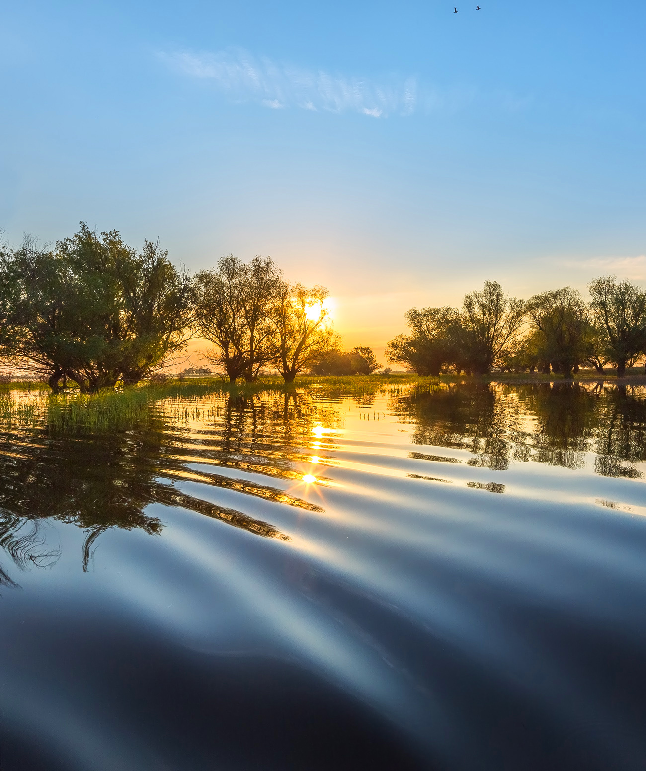 Шёлк воды Река Волга вода рассвет деревья половодье волны