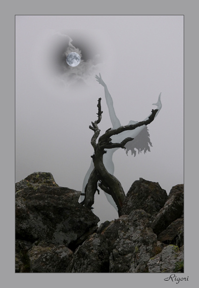 Ведьмин туман ведьма сотворяющая луну в колдовском тумане