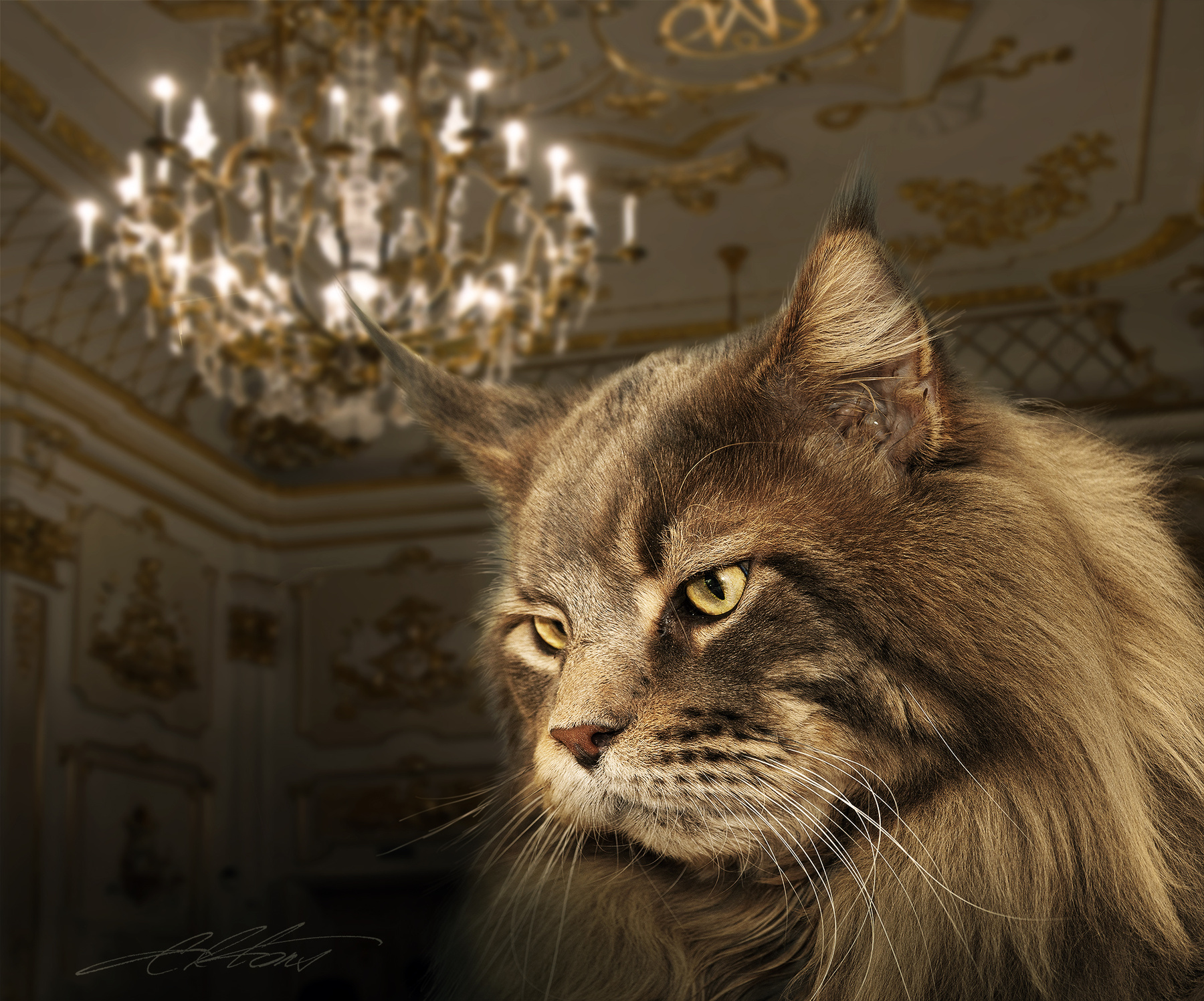 Marquis de Diego Digital Photo Art Cat World Winner Eltons Fantasies