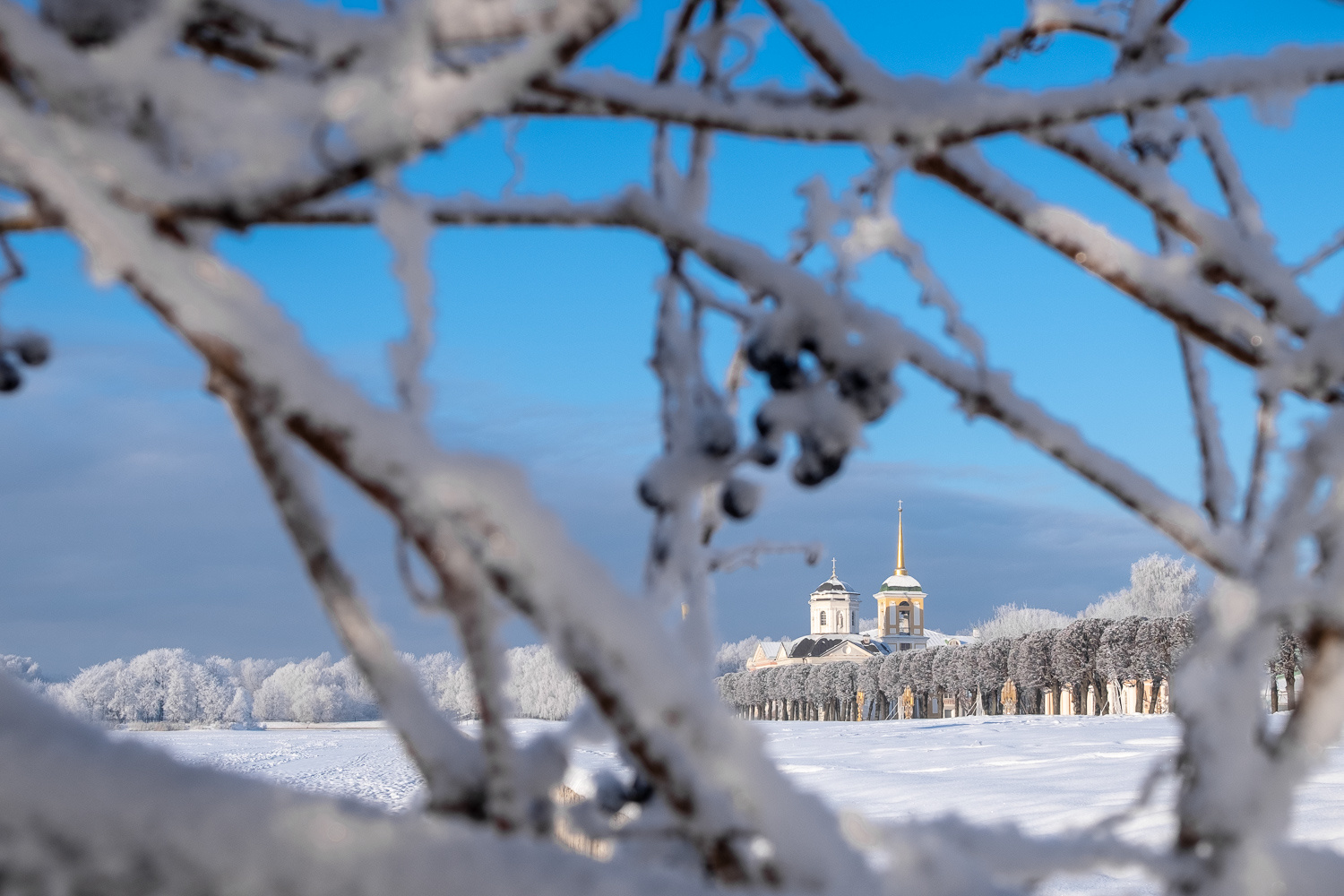 Застывшее дыхание города город Москва утро солнце парк дерево снег зима мороз иней лед небо облака