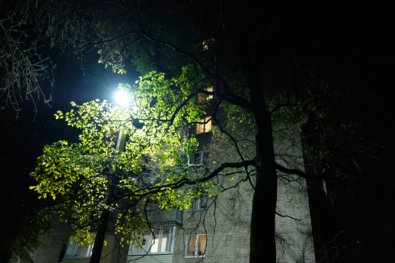 *** вечер дерево дом окна фонарь листья ветви
