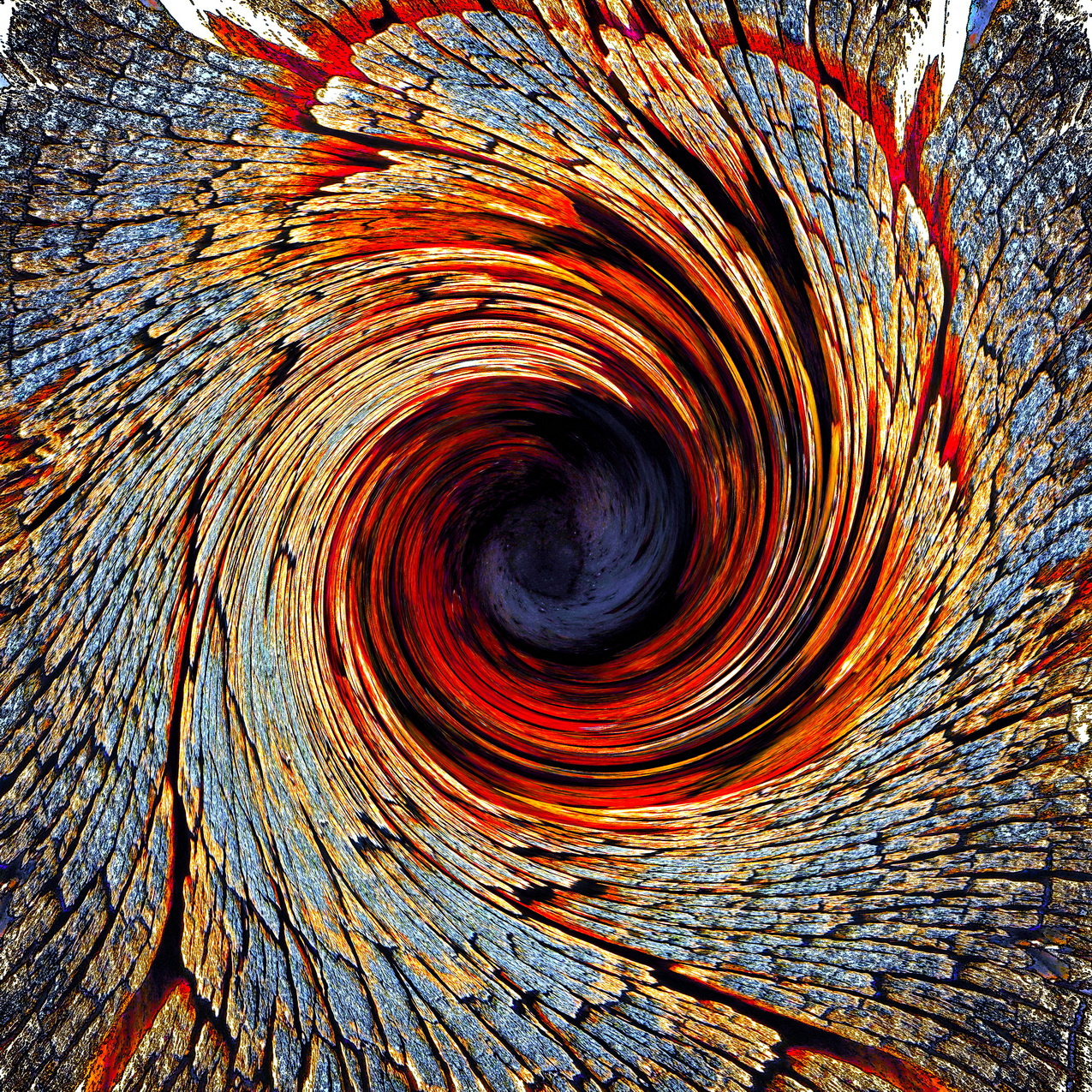 Рождение Жар-птицы древесная кора