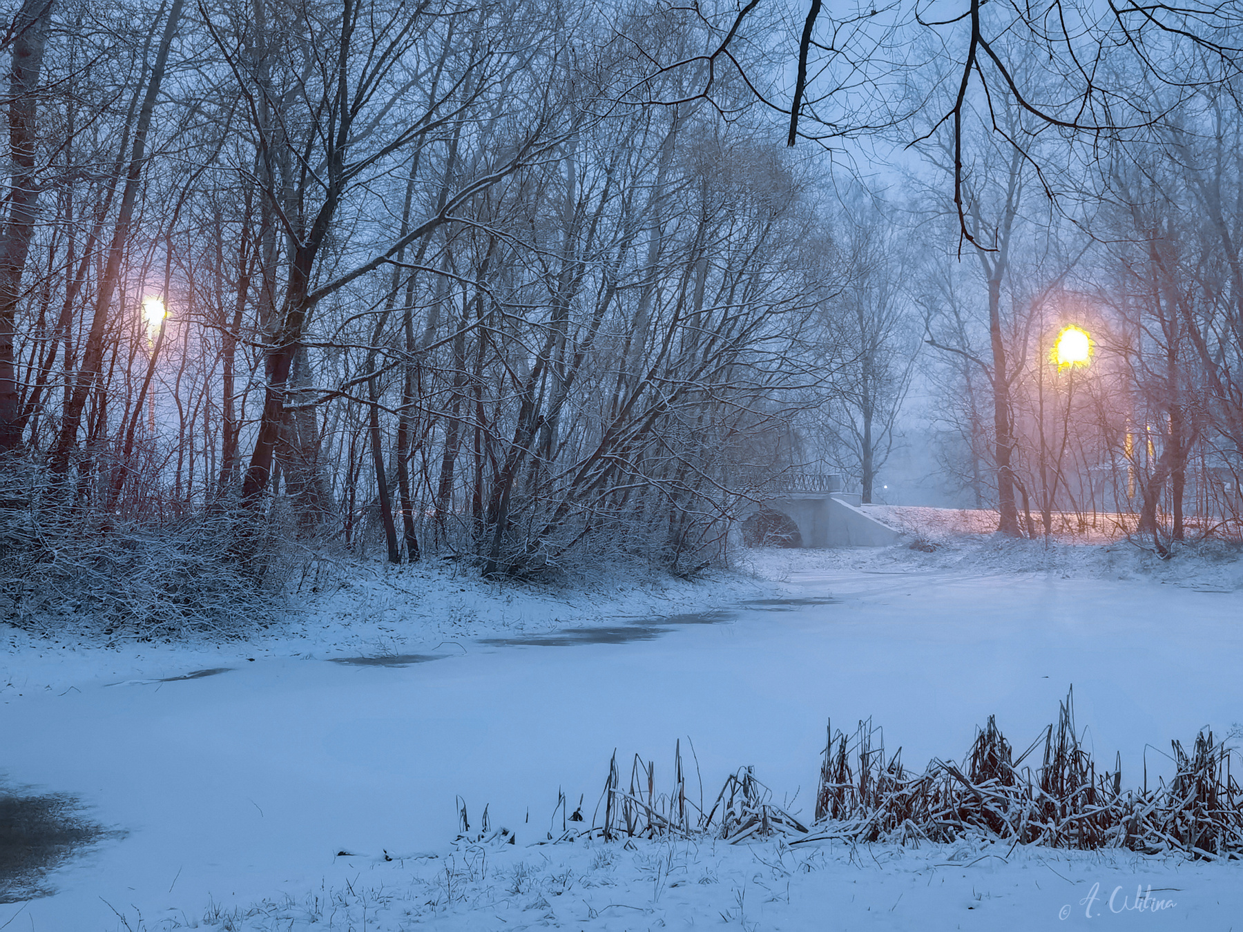 Зима в Кусково Кусково снег вечер ноябрь пруд мост фонари