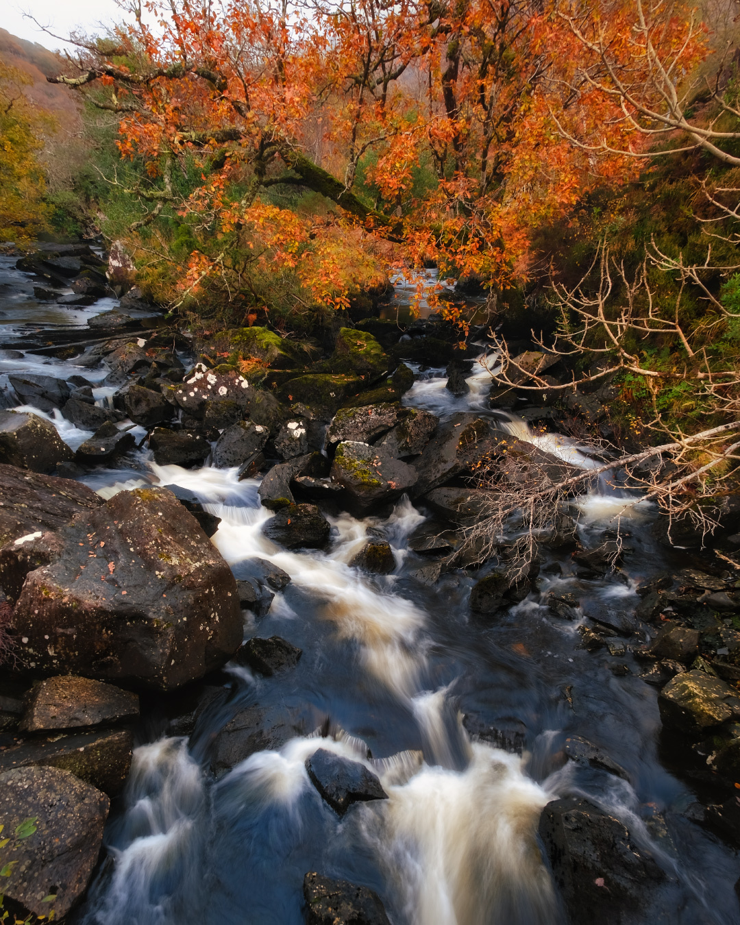 ...Kerry creeks... ireland ring of kerry wild atlantic way derrycunnity long exposure river water stream creek autumn fall indian summer nature outdoors europe scenic picturesque wonderful