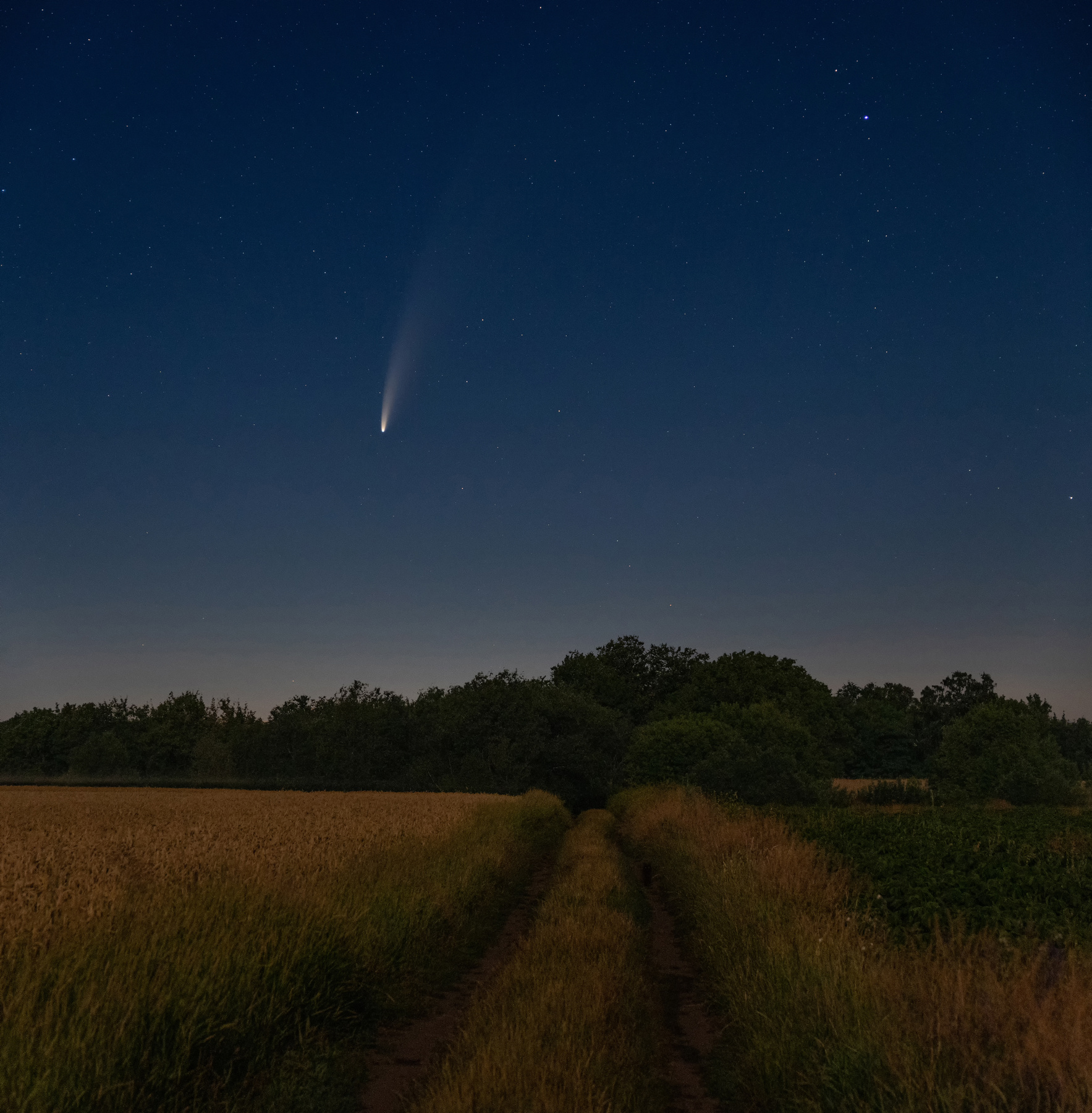 Далекая гостья комета космос ночная астропейзаж ночной пейзаж