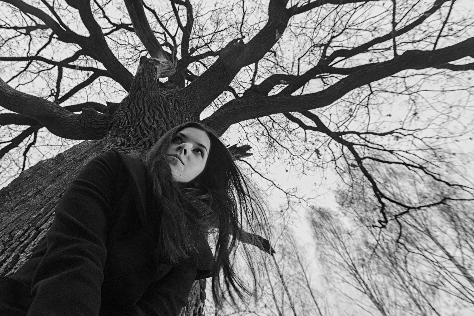 Беспокойство. 3. девушка лес ветер беспокойство тревога дерево ветви портрет