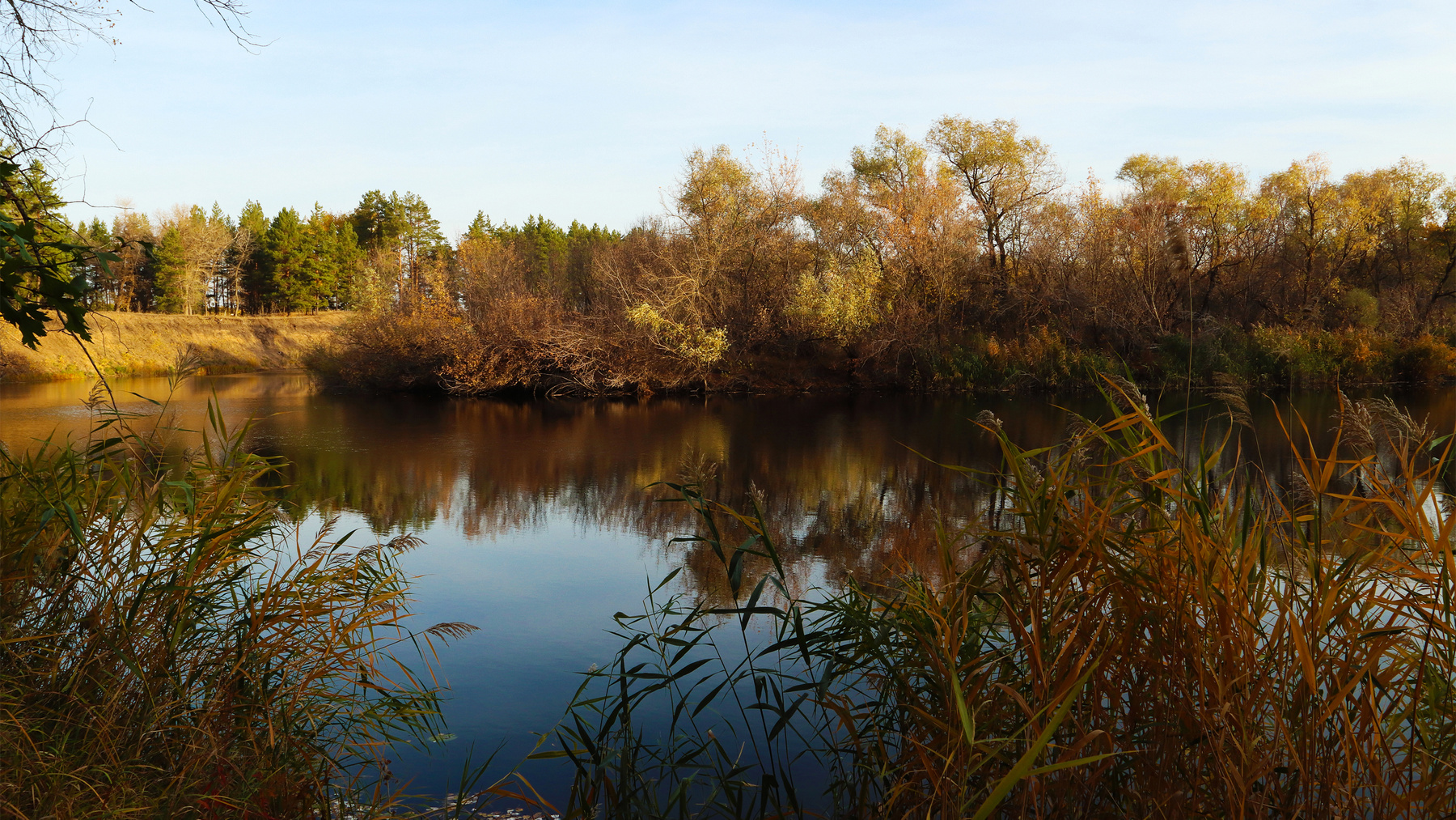 Осень Река Бузулук речка река природа рыбалка а у реки рассвет на реке кувшинки водная гладь