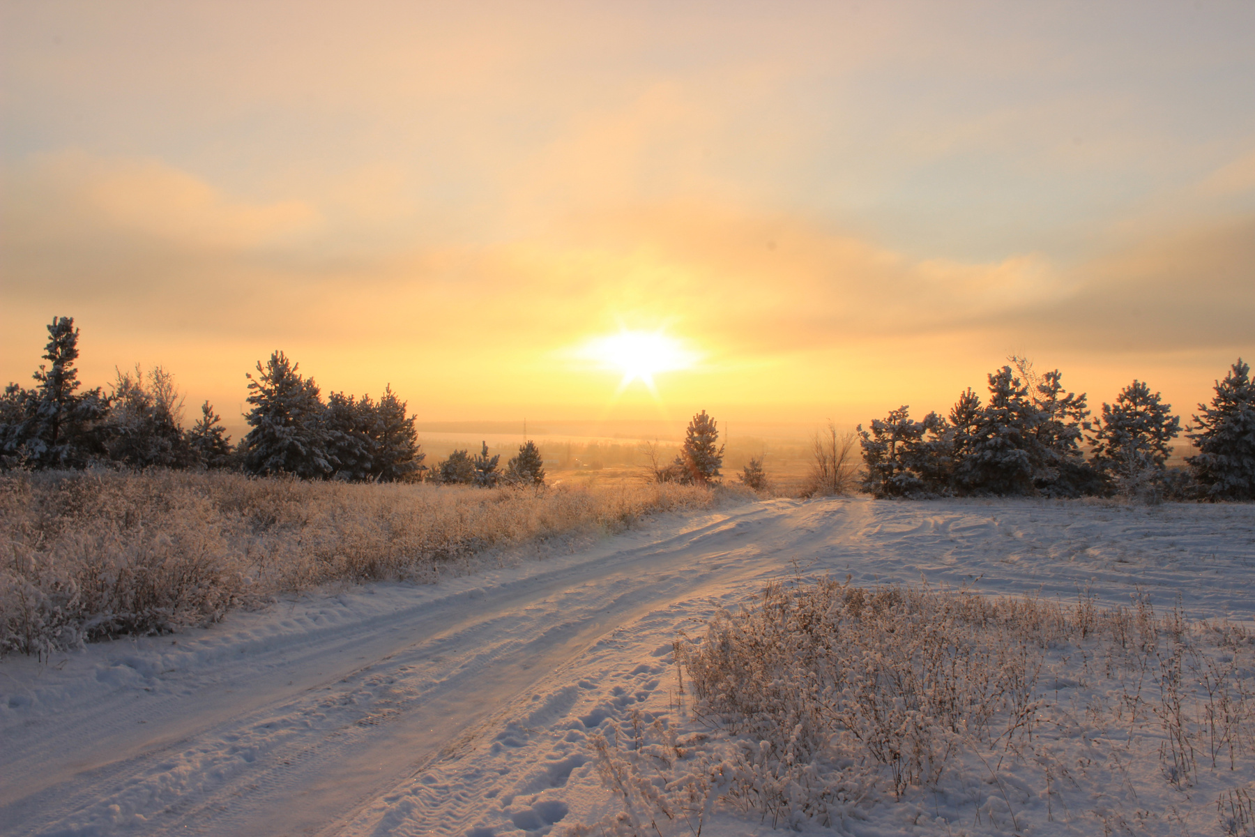 Морозный закат сосны снег Саратовская область Пейзаж мороз иней зима закат дорога декабрь вечер